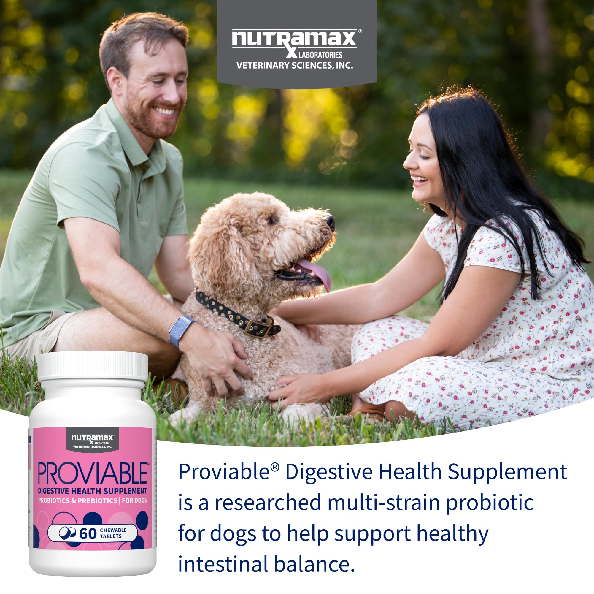 Multi-Strain Probiotic Chewable Tablets for Dogs – 60ct