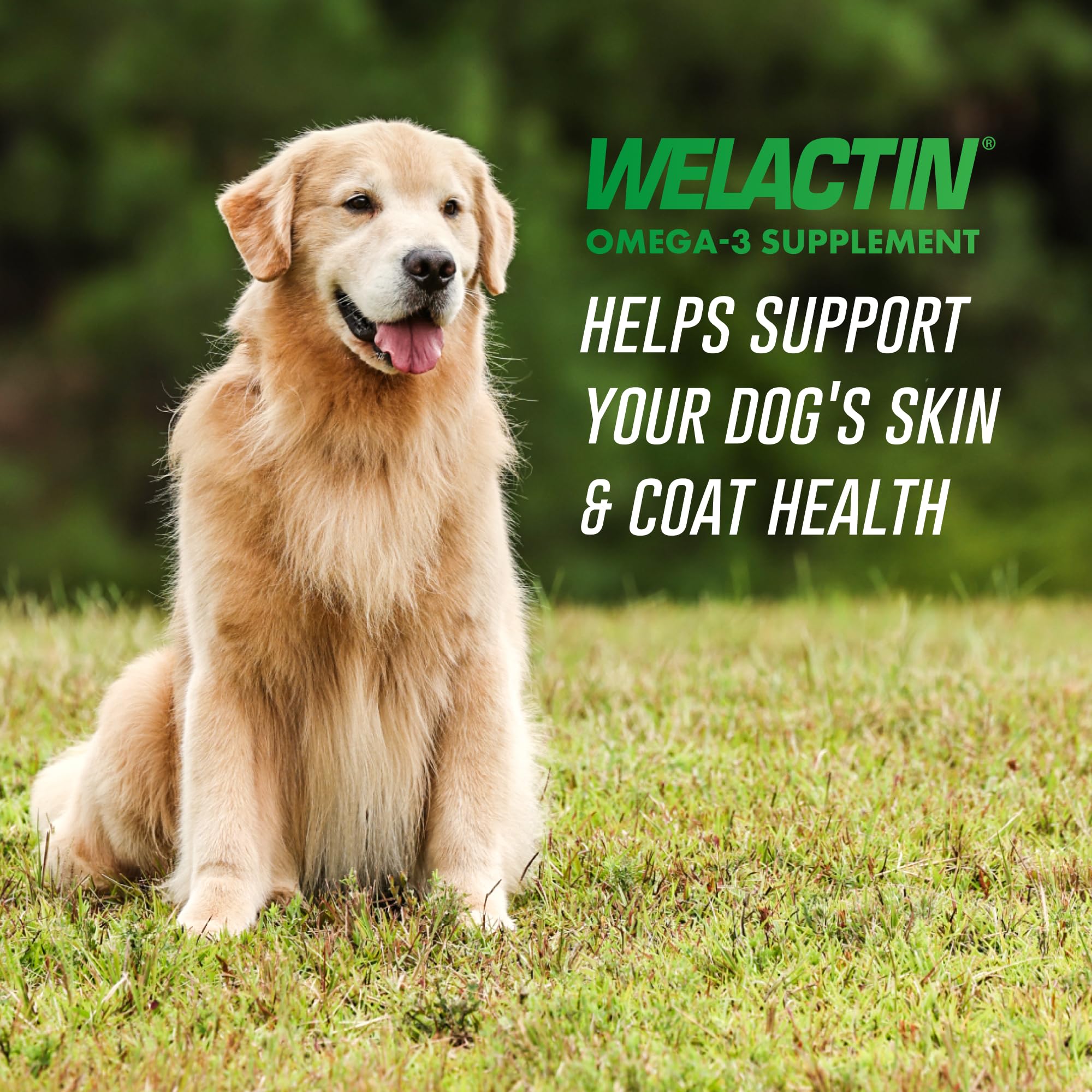 Omega-3 Fish Oil Liquid for Dogs – Skin, Coat & Joint Support 16oz