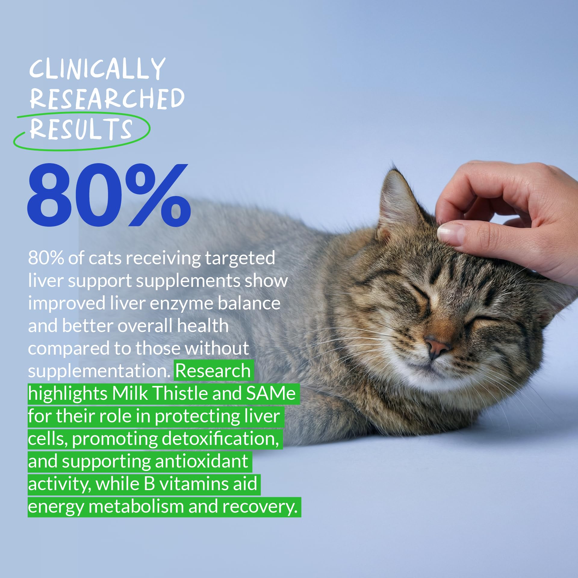 Milk Thistle Liver & Kidney Support Powder for Cats