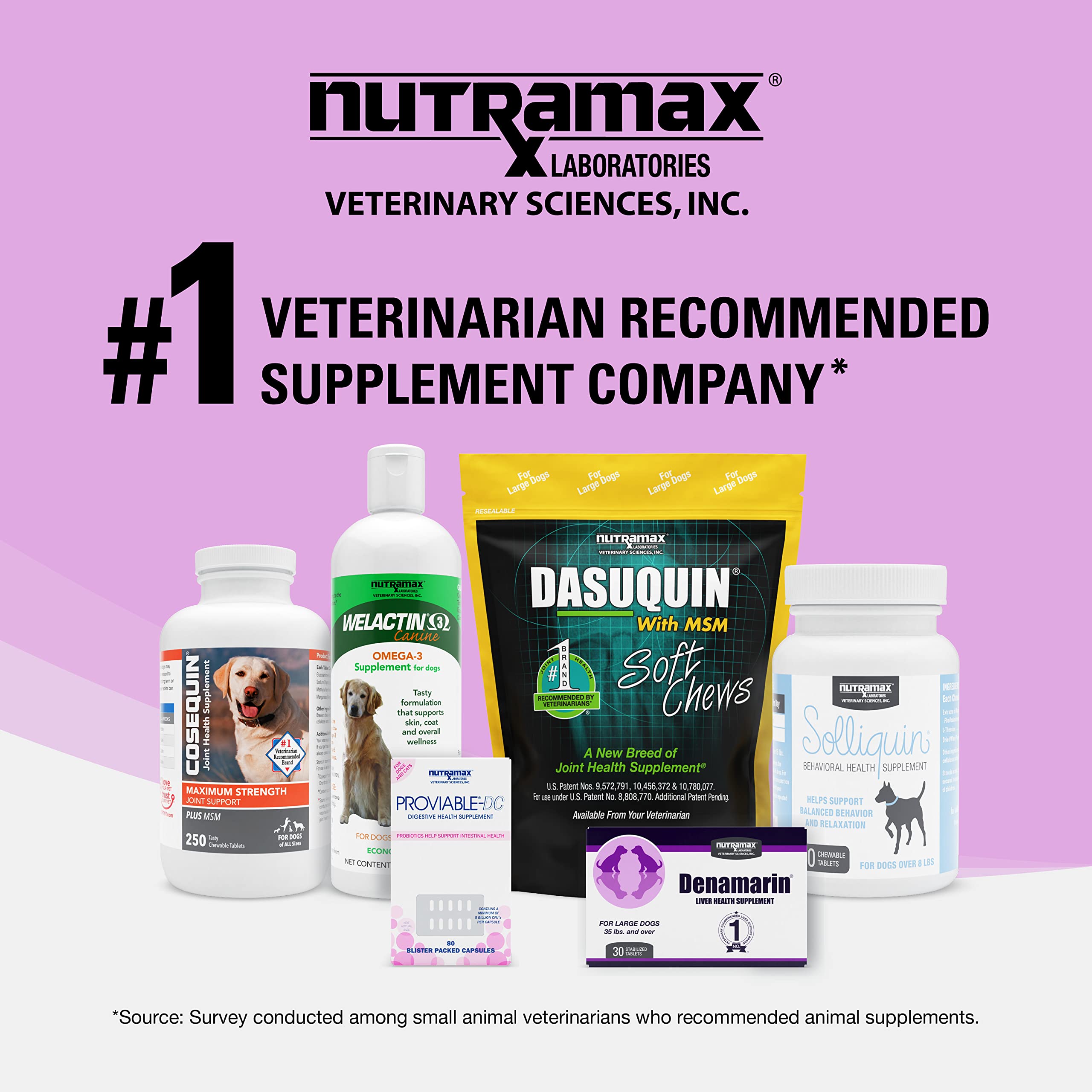 Liver Health SAMe Tablets for Dogs & Cats – 30ct