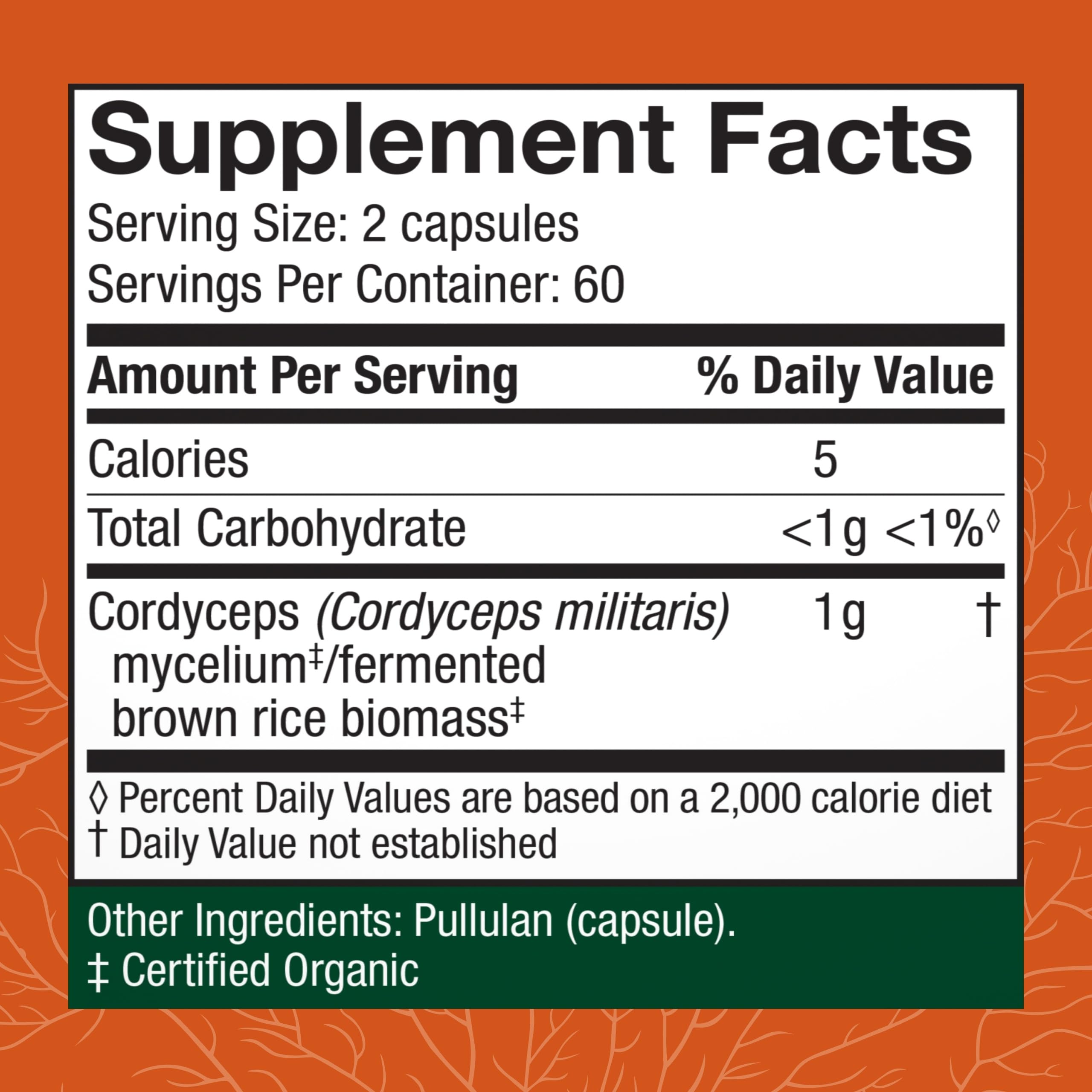 Cordyceps Capsules for Energy & Immune Support – 120 Count