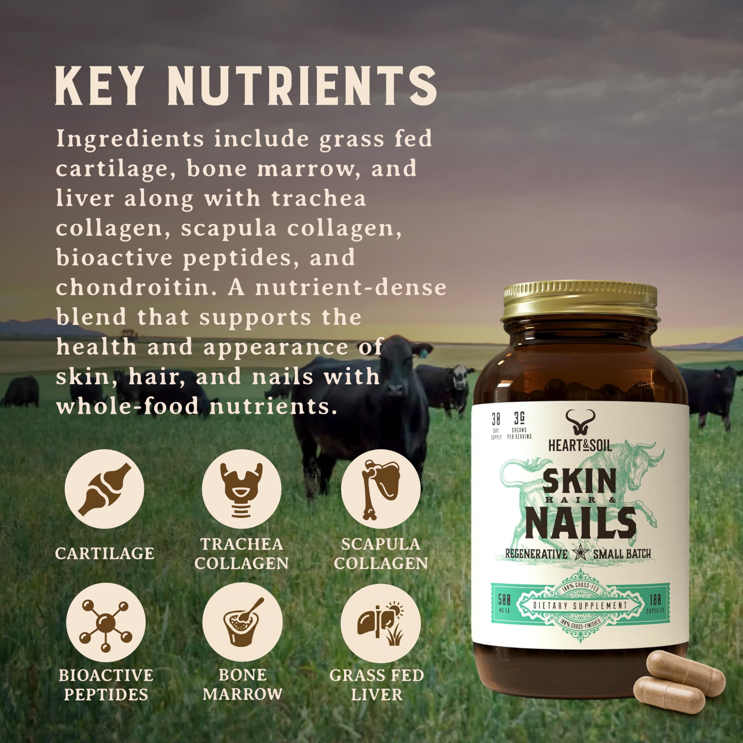 Beef Organ Hair Skin Nails Supplement 3000mg 180 Capsules