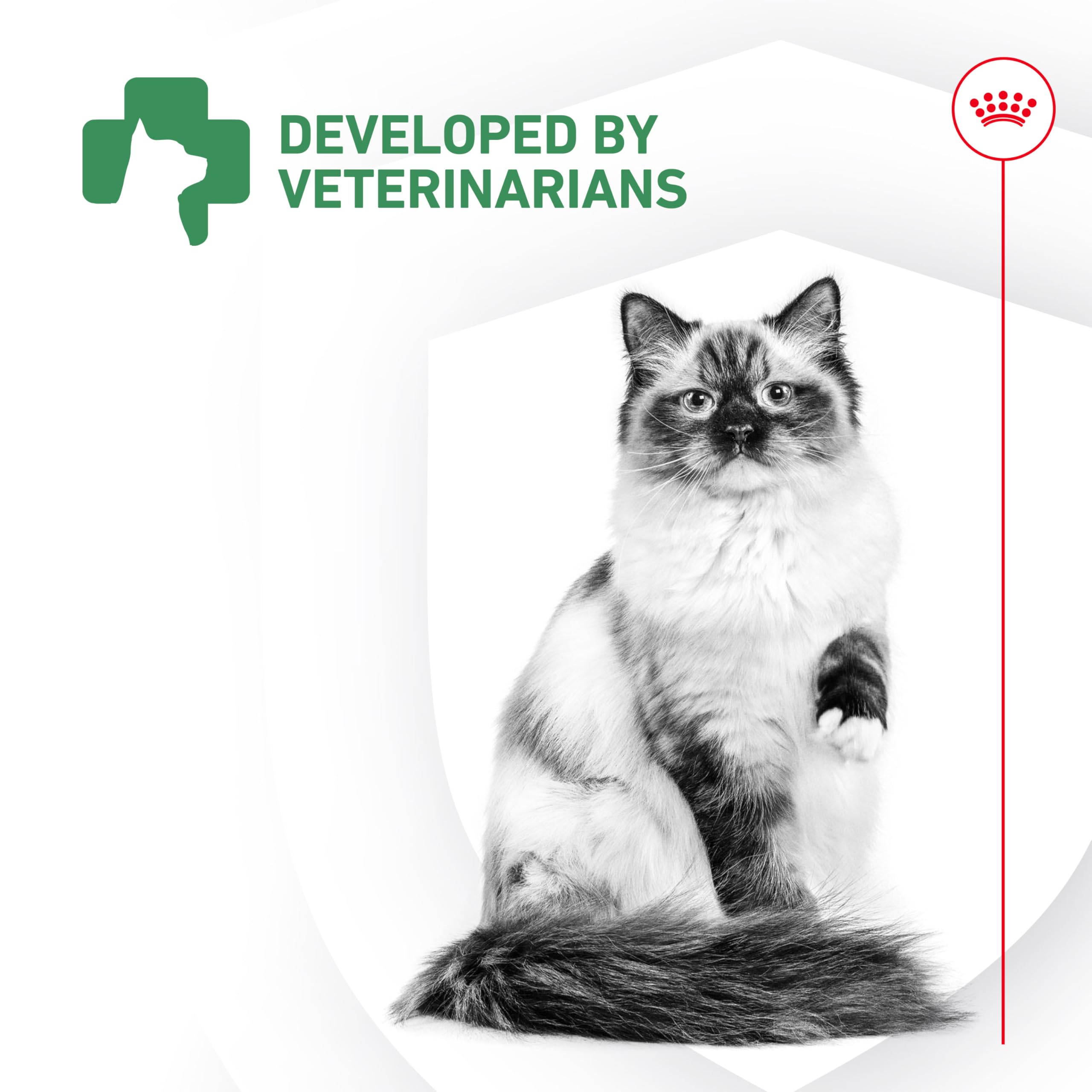 Probiotic Powder Supplement for Cats – Digestive & Immune 30ct