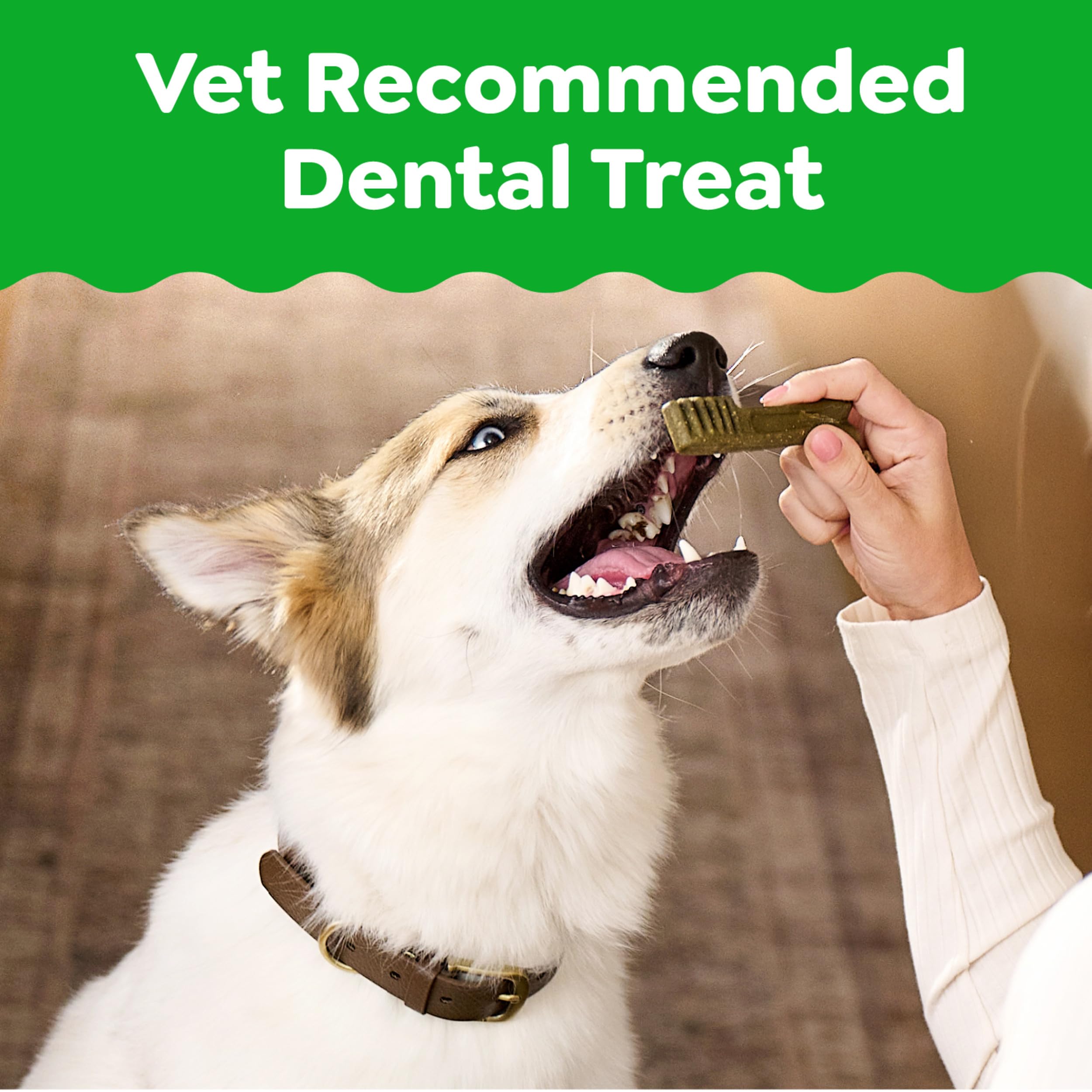 Natural Dental Chews for Small Dogs – Teenie Size 43ct 12oz