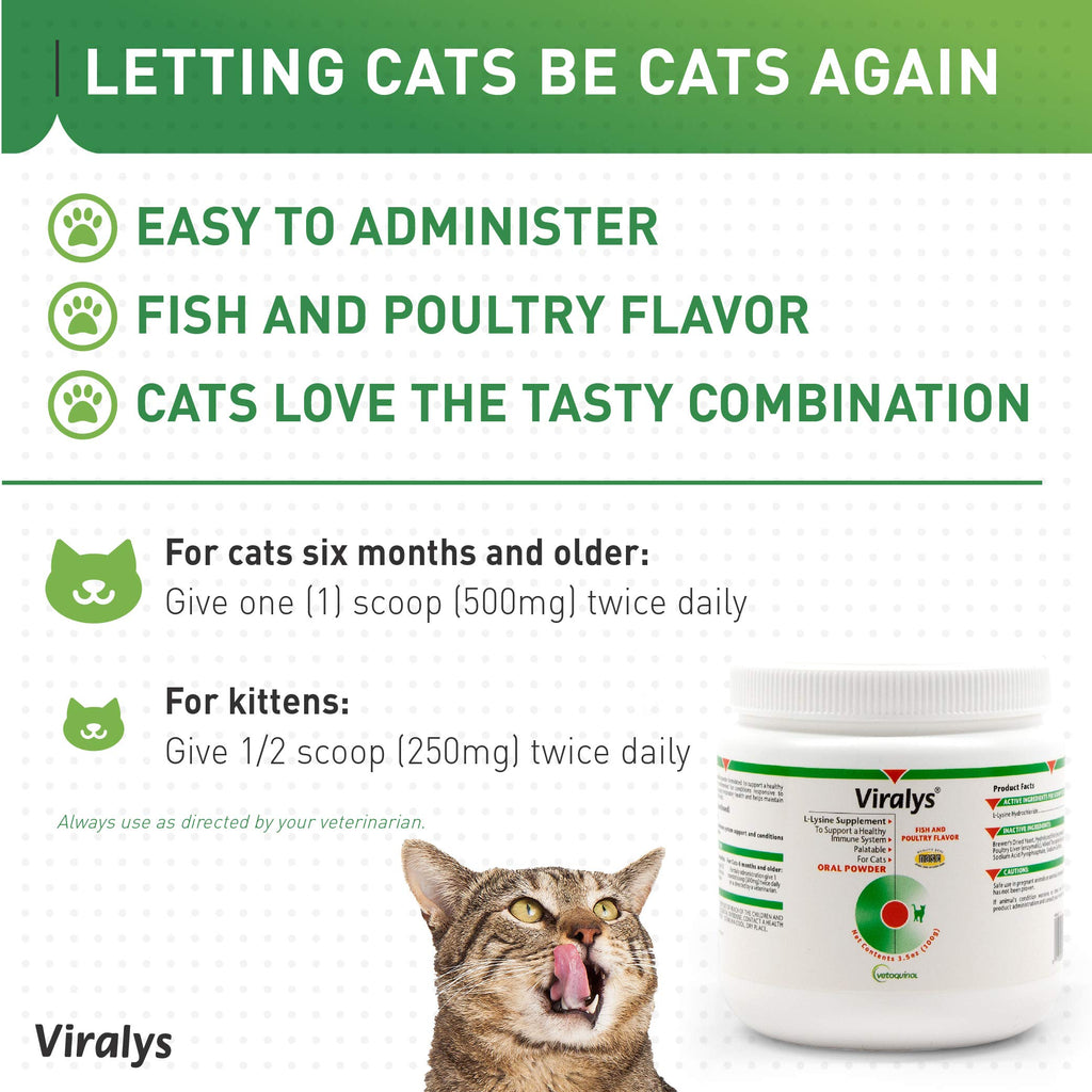 L-Lysine Daily Powder for Cats & Kittens – Fish Flavor 100g