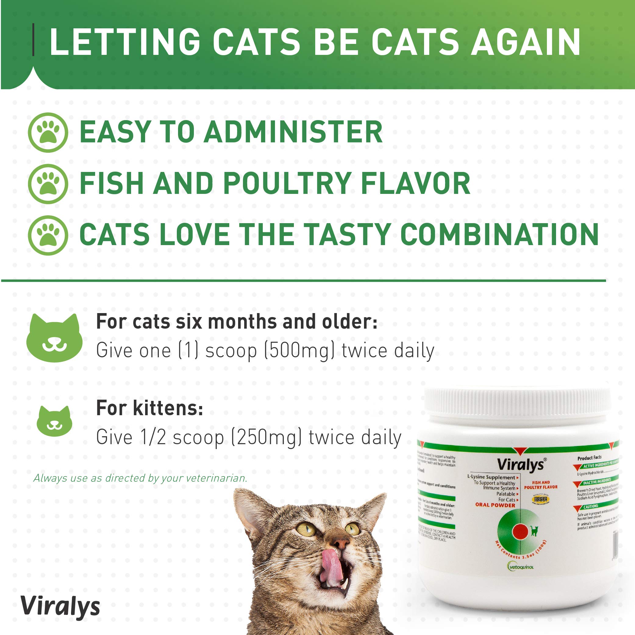 L-Lysine Daily Powder for Cats & Kittens – Fish Flavor 100g