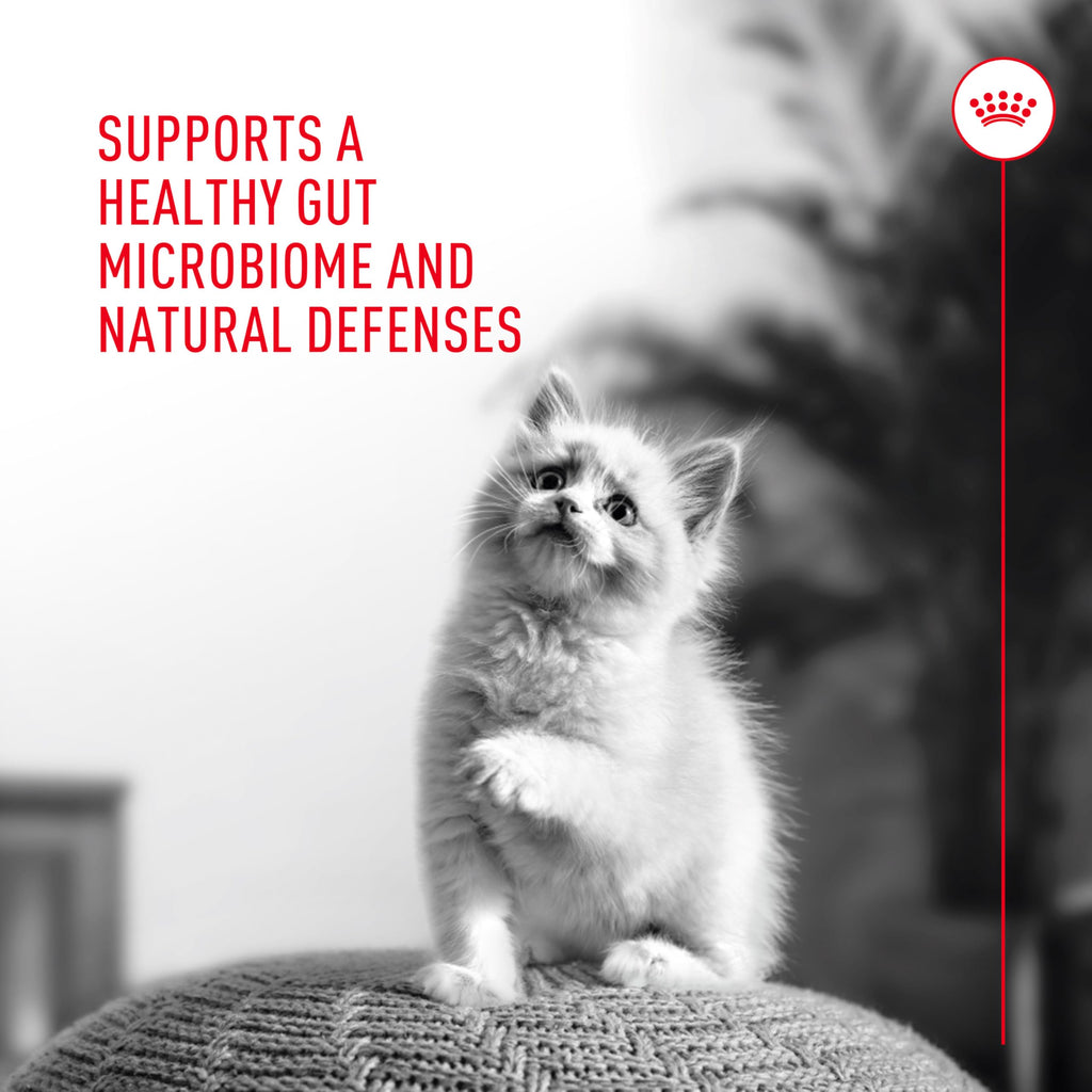 Probiotic Powder Supplement for Cats – Digestive & Immune 30ct
