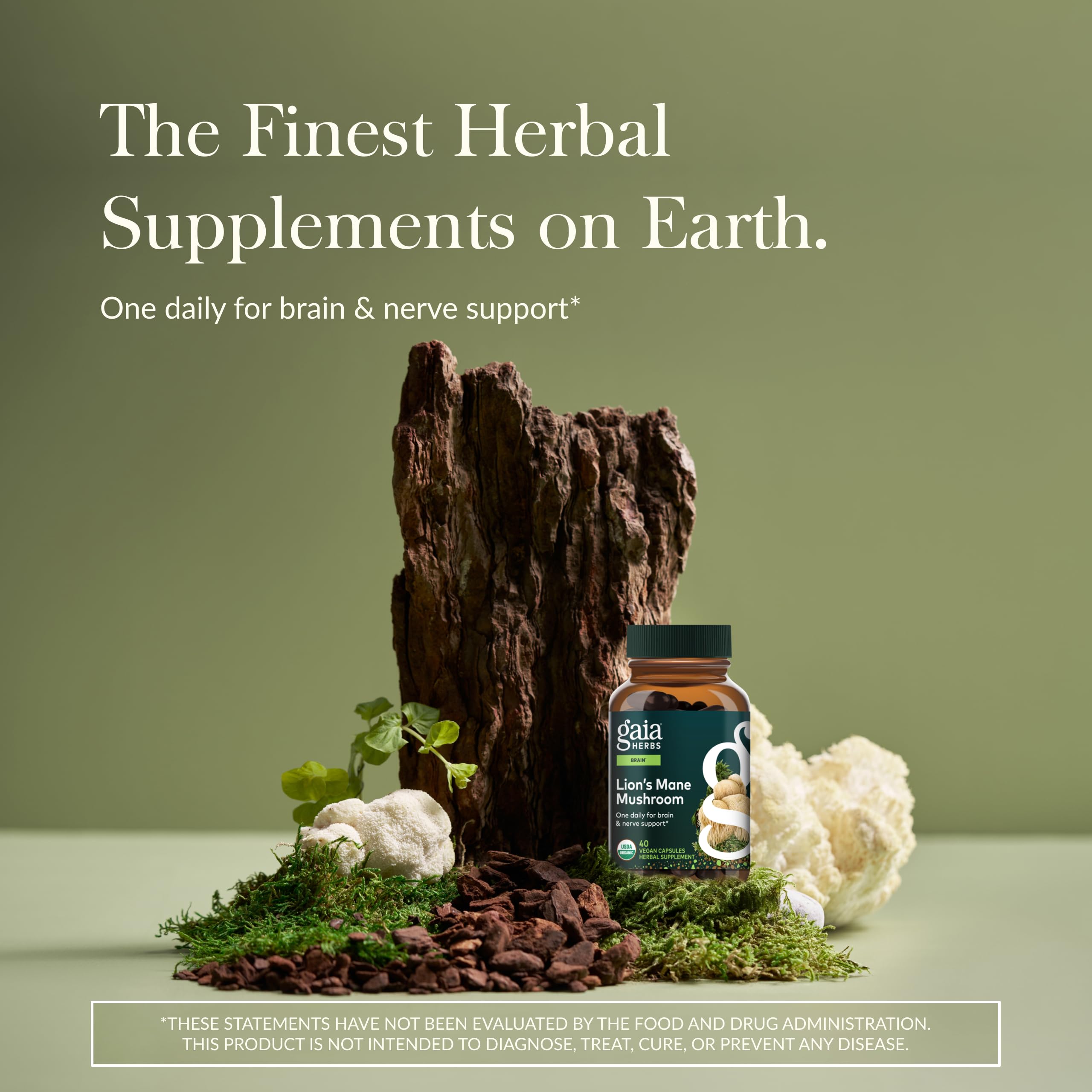 Lion’s Mane Mushroom Capsules for Brain, Memory & Nerve Support Vegan