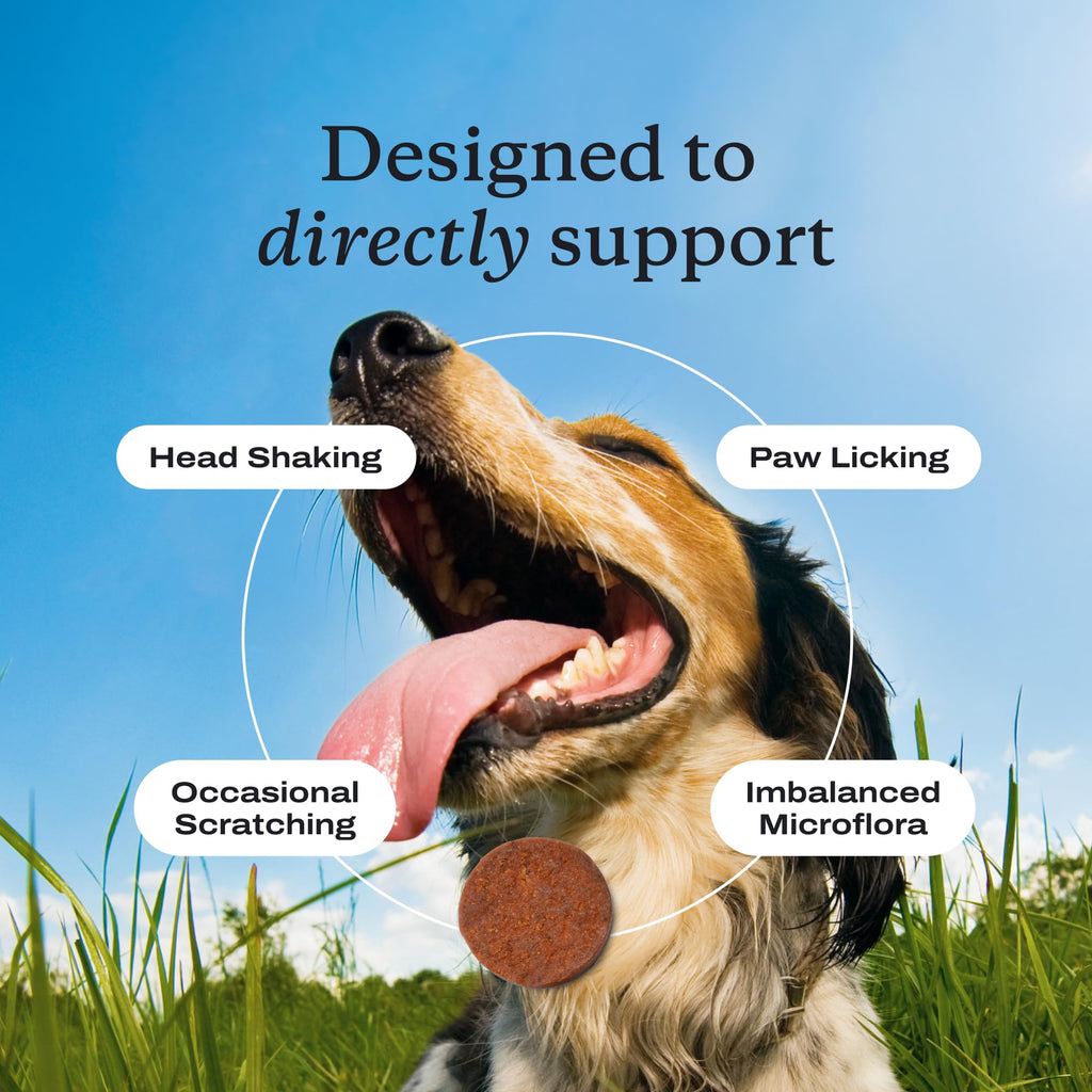 Allergy & Immune Probiotic Chews for Dogs – 30ct