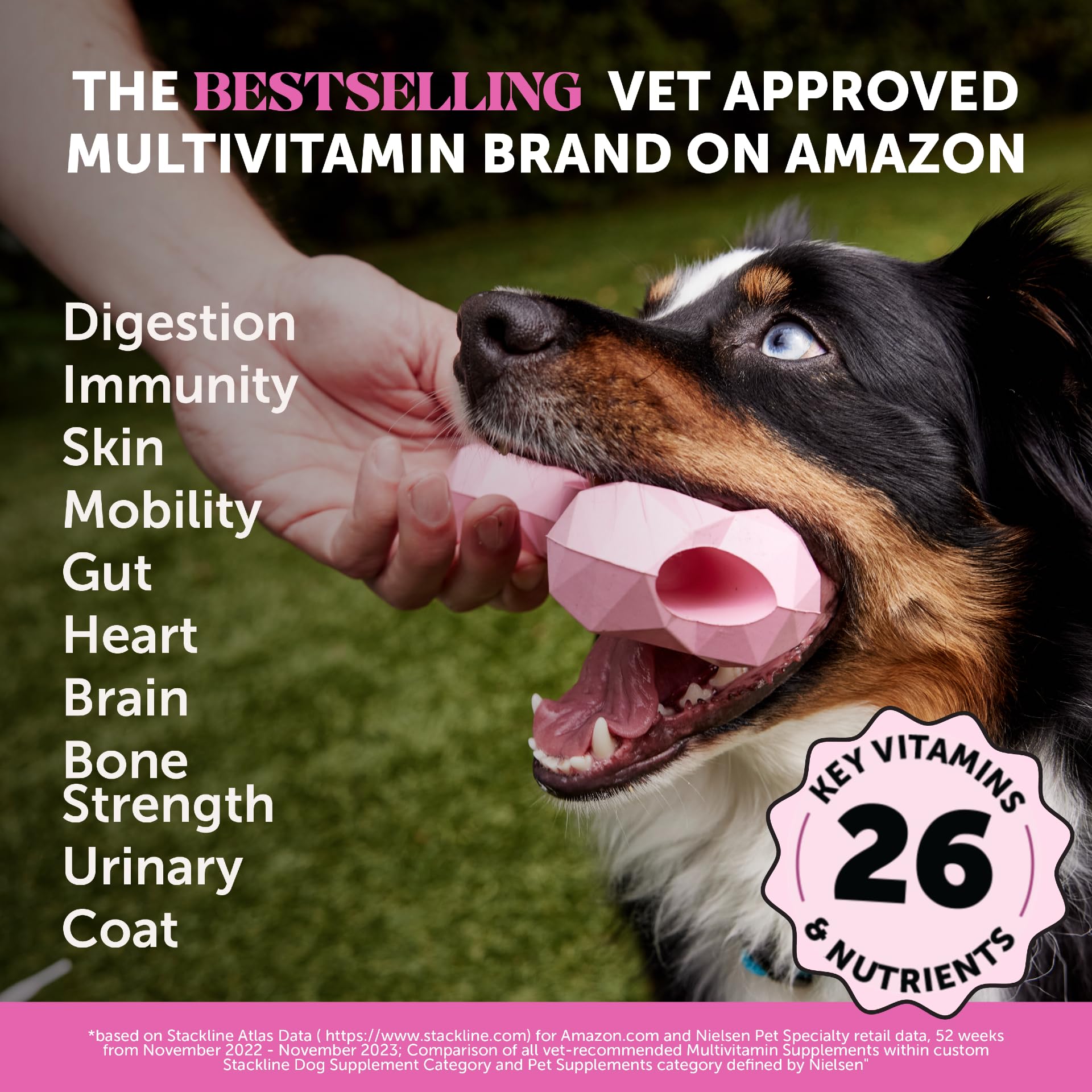 10-in-1 Dog Multivitamin Chews – Glucosamine & Probiotics 90ct