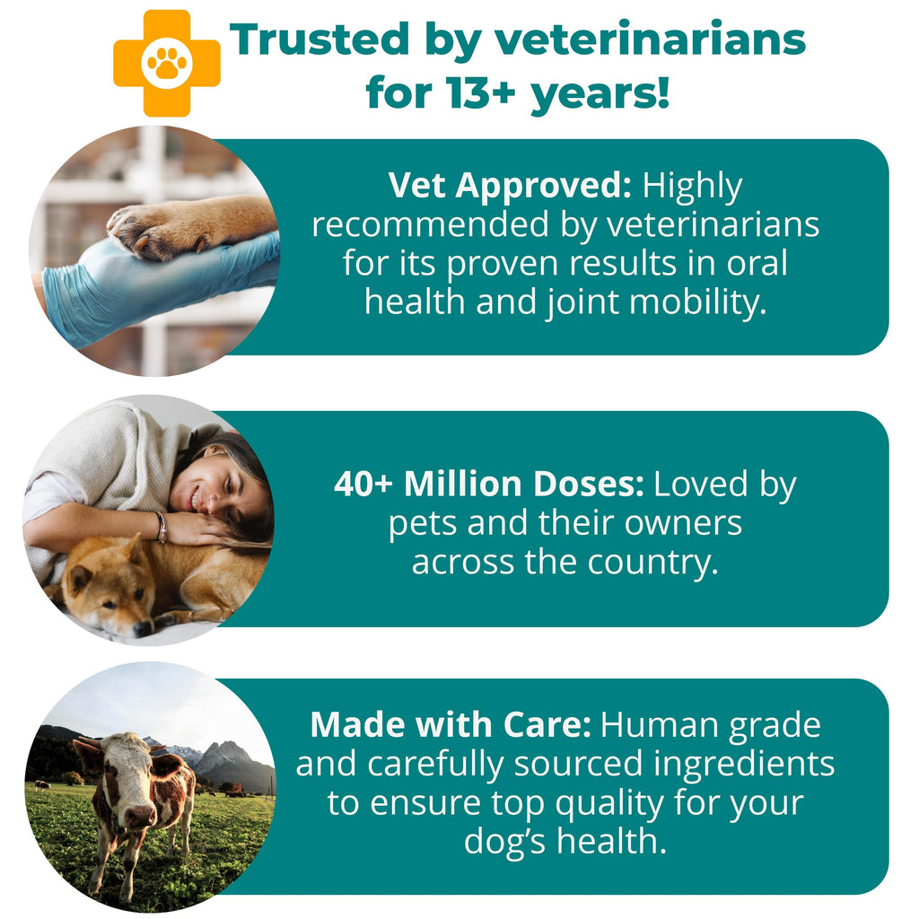 Hip & Joint Supplement for Dogs & Cats – Oral Health & Arthritis 60ct