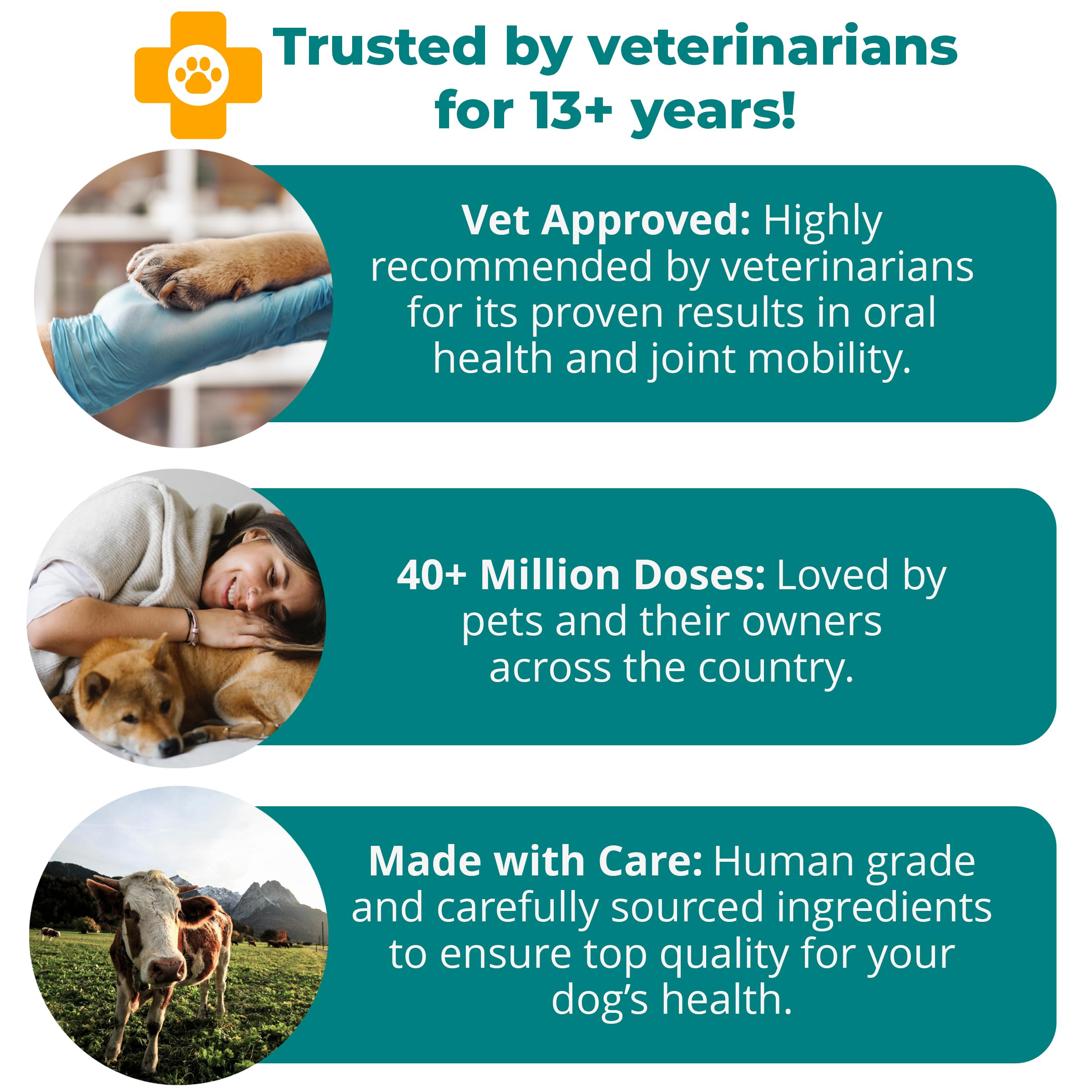 Hip & Joint Supplement for Dogs & Cats – Oral Health & Arthritis 60ct