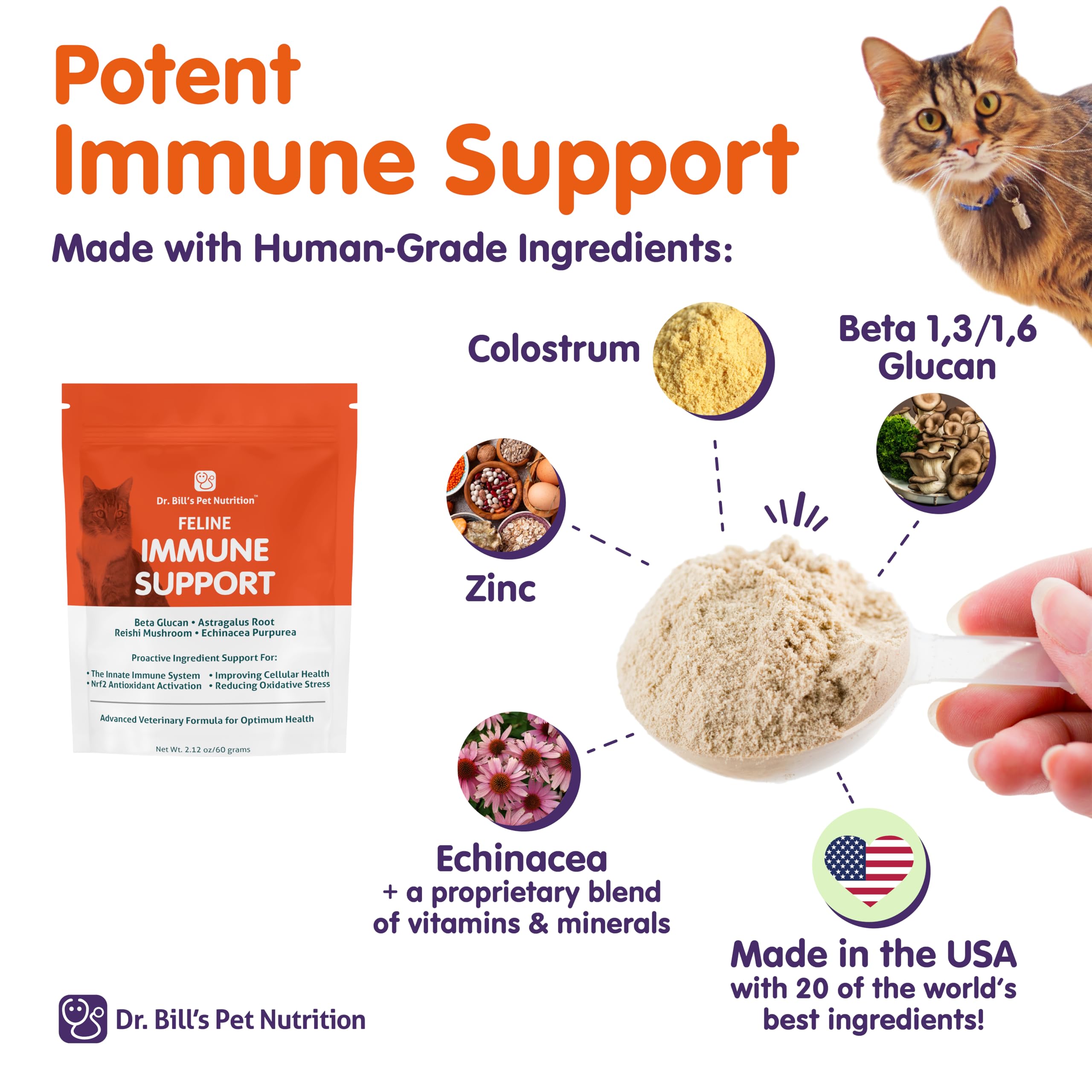 Immune Support Powder for Cats – Colostrum, Mushroom & Zinc