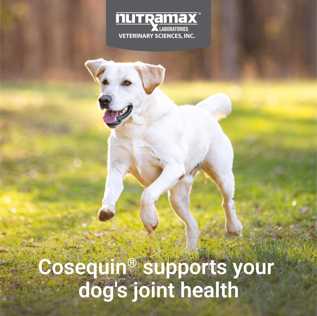 Joint Chewable Tablets for Dogs – Glucosamine, Chondroitin & MSM 132ct