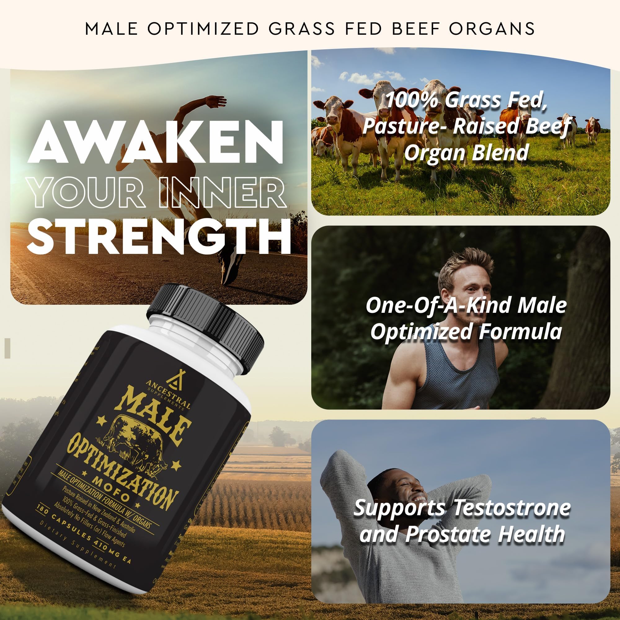 Grass-Fed Beef Organ Testosterone Supplement for Men – Energy & Vitality, 180 Capsules