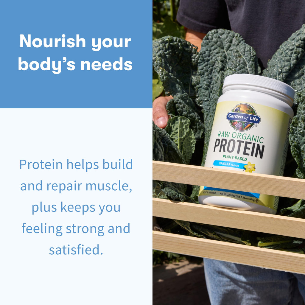 Vanilla Plant-Based Protein Powder With Probiotics