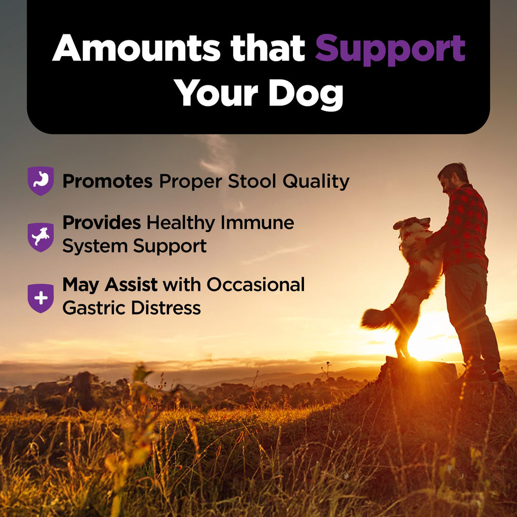 Pre & Probiotic Soft Chews for Dogs – Digestive Support 120ct