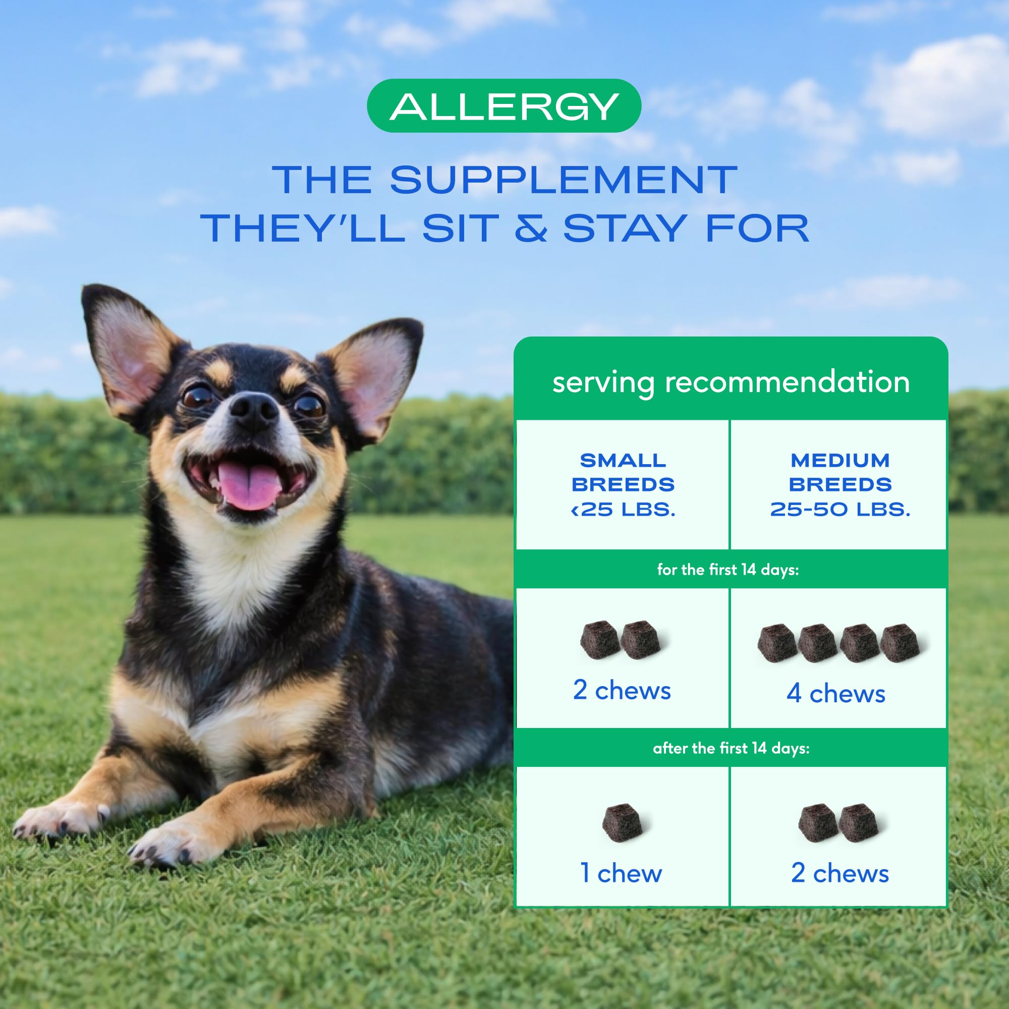 Dog Allergy Chews for Small Breeds | 30-Day Supply