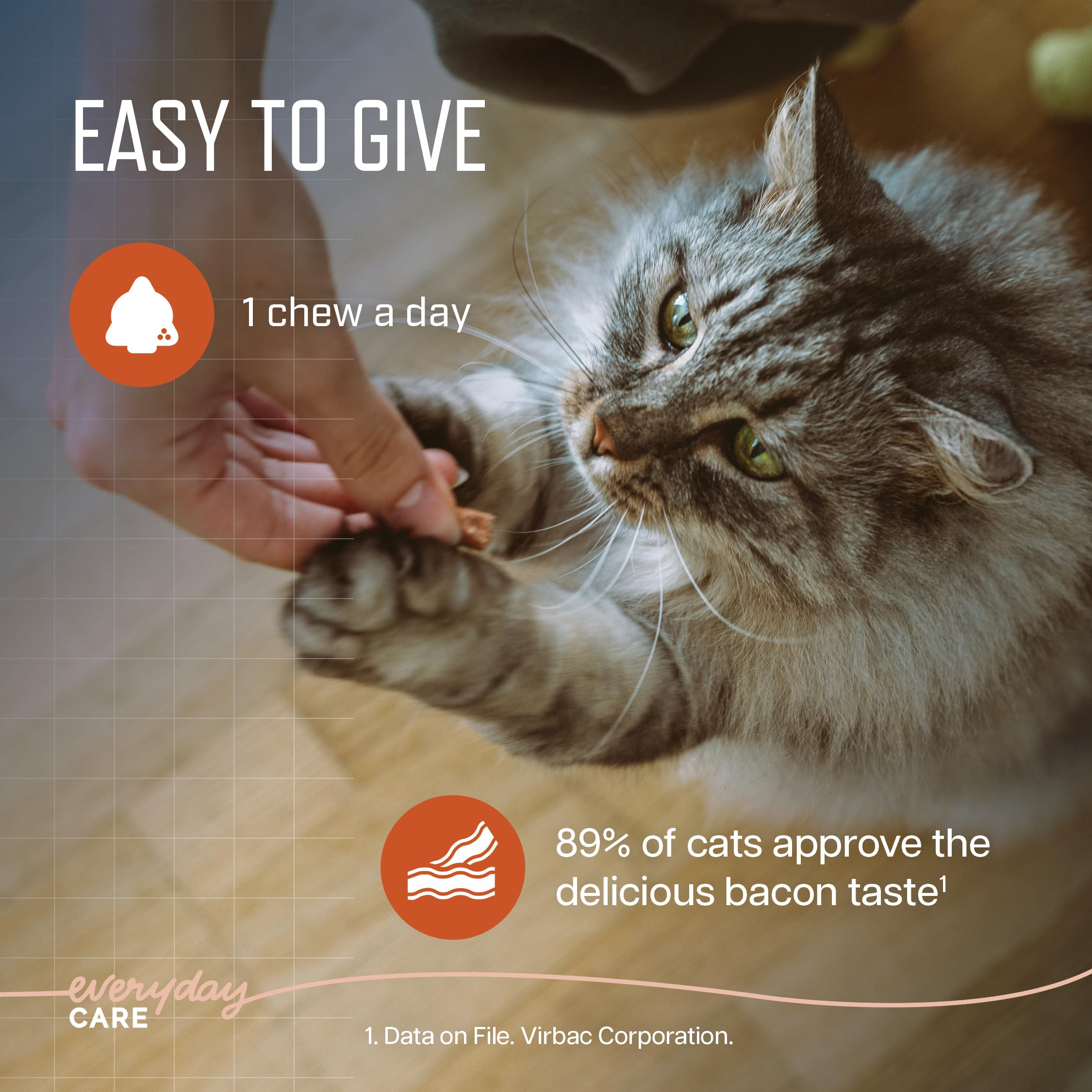 Muscle Health Support Soft Chews for Senior Cats – 60ct 2-Month