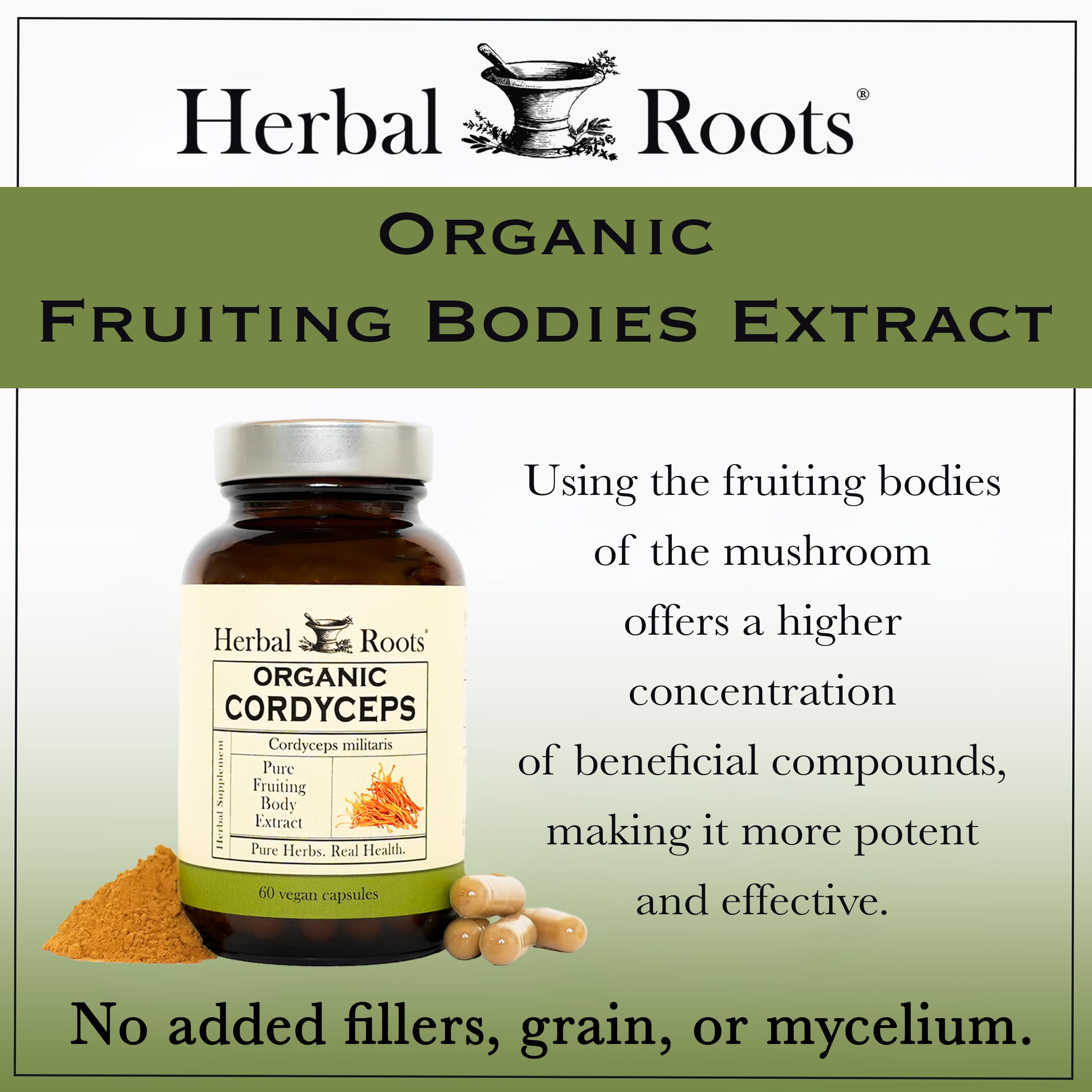 Organic Cordyceps Mushroom Capsules – Energy & Immune Support, 60 Ct