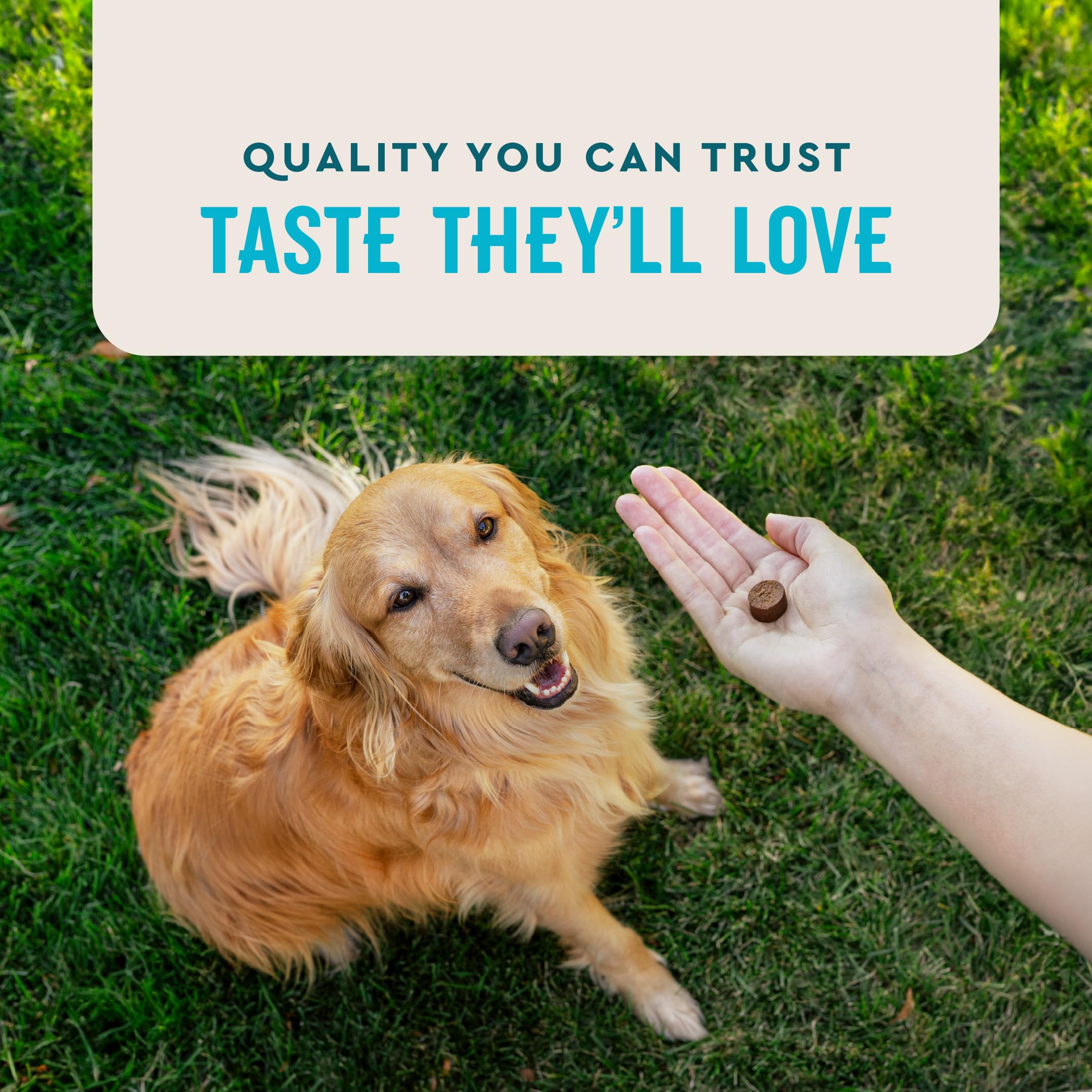 Hip & Joint Soft Chews for Dogs – Glucosamine, MSM & Krill 180ct