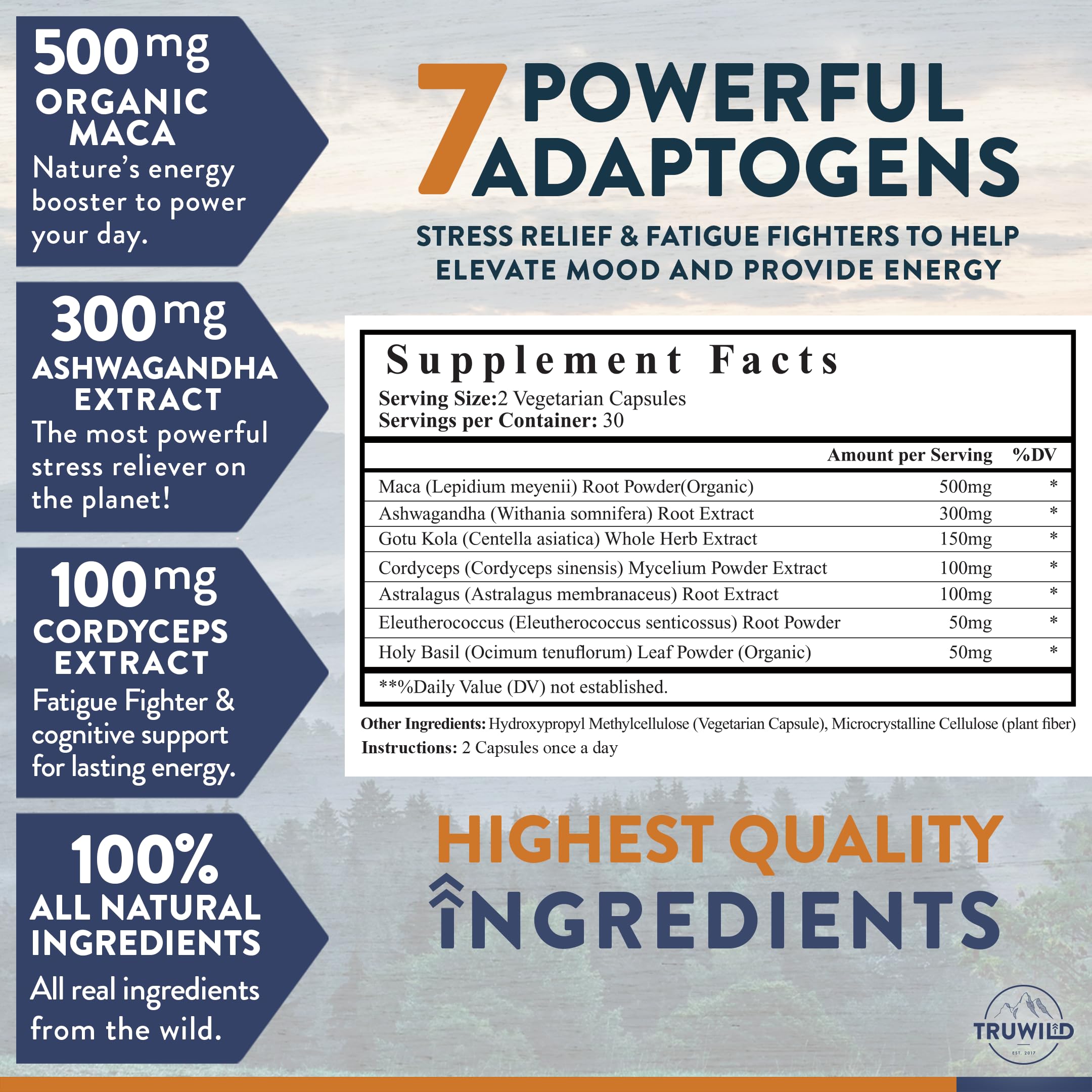 Adaptogen Mushroom Blend Capsules – Energy & Stress Support, 60 Ct