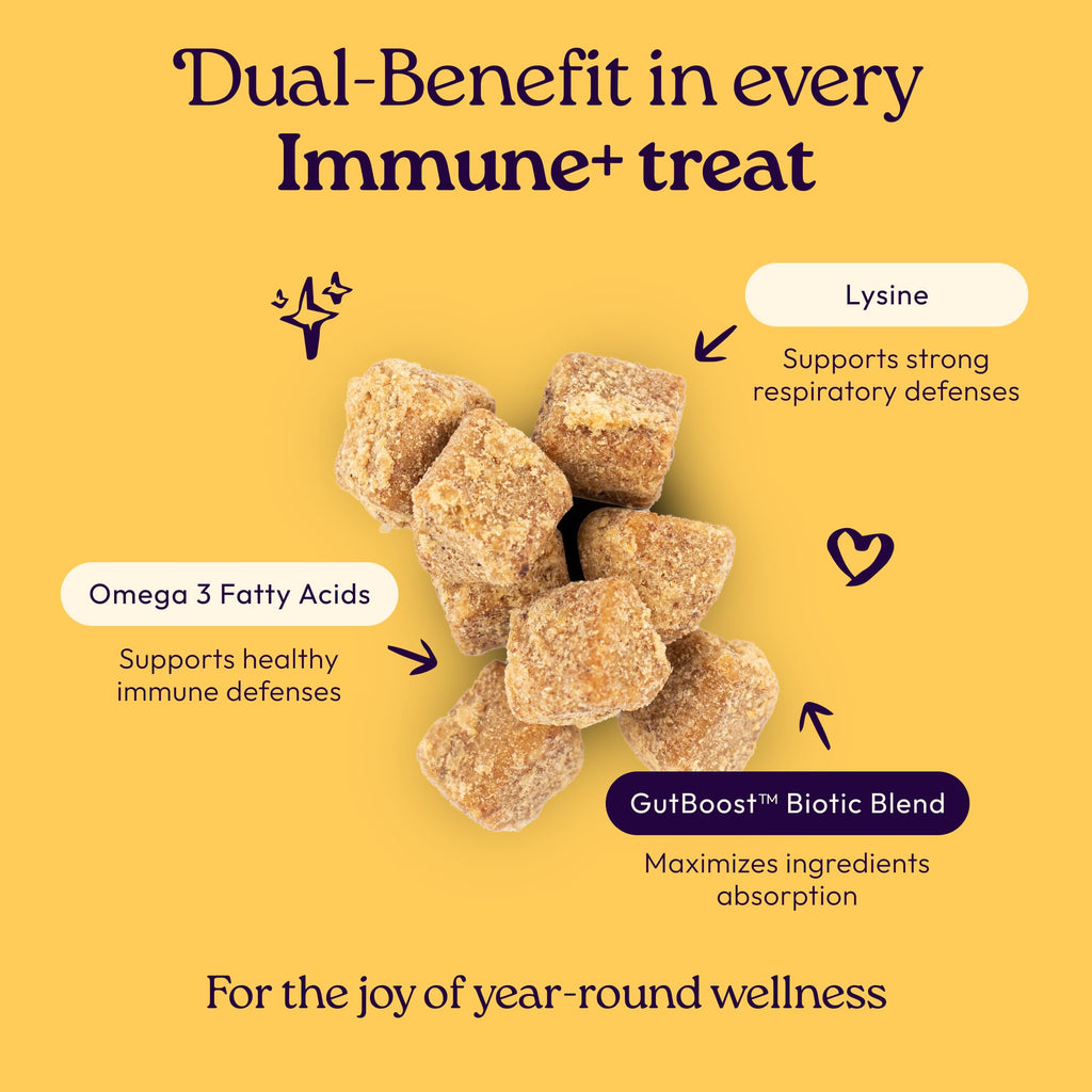 Immune & Gut Support Soft Chews for Cats – Lysine & Chicken 120ct