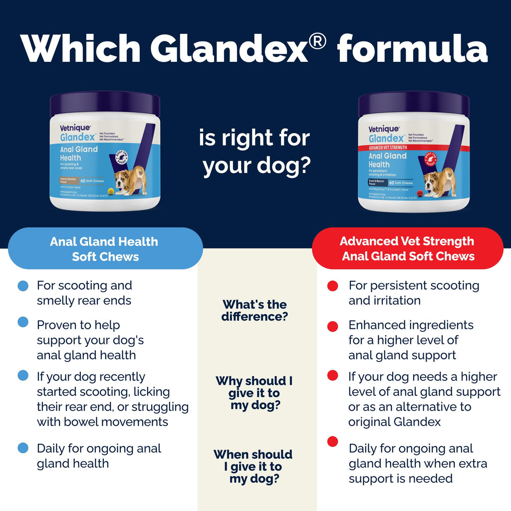 Anal Gland Support Soft Chews for Dogs – Pumpkin & Probiotics 60ct