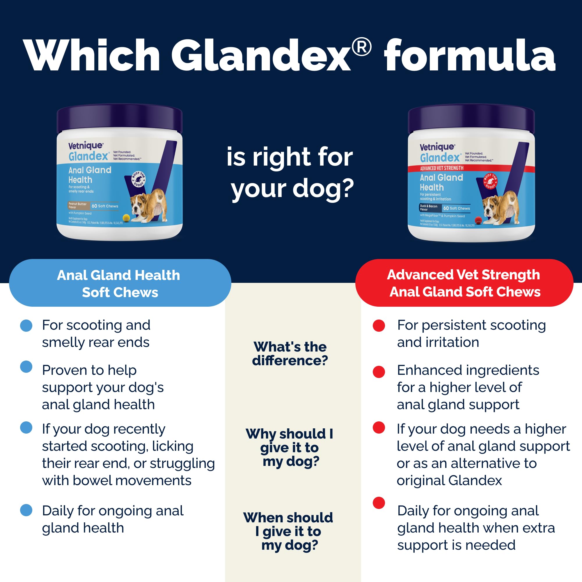 Anal Gland Support Soft Chews for Dogs – Pumpkin & Probiotics 60ct