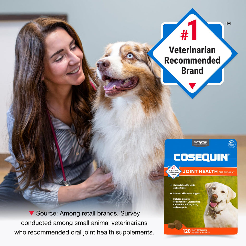 Joint Soft Chews for Dogs – Glucosamine, Chondroitin & MSM 120ct