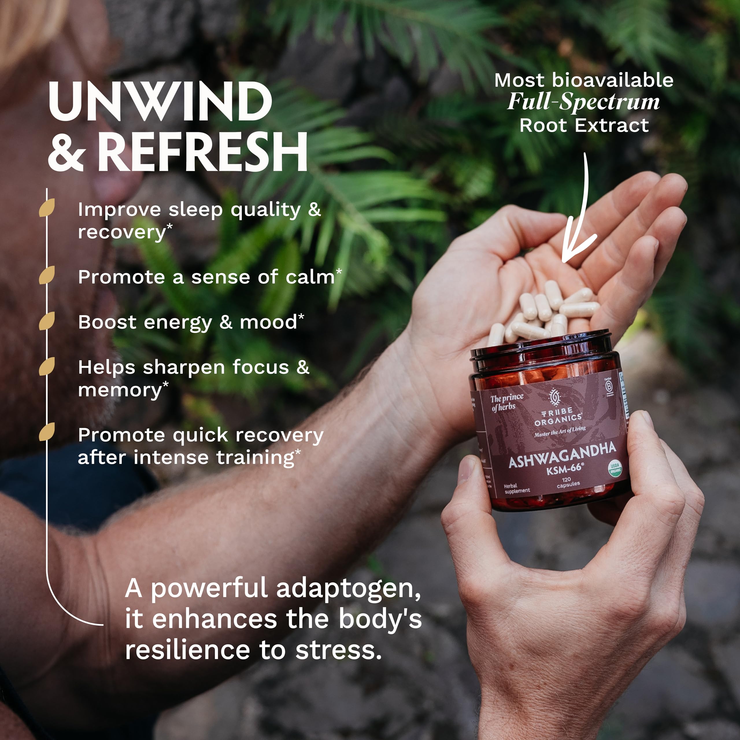 Ashwagandha KSM-66 600mg Capsules for Stress, Energy, Mood & Focus Support