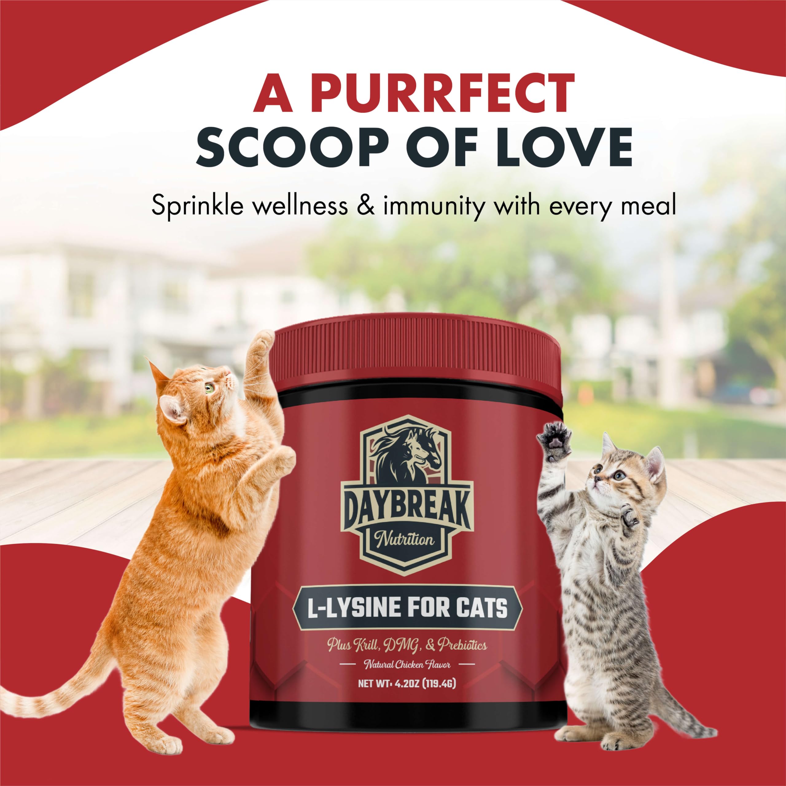 L-Lysine Powder for Cats & Kittens – Immunity & Respiratory 900mg