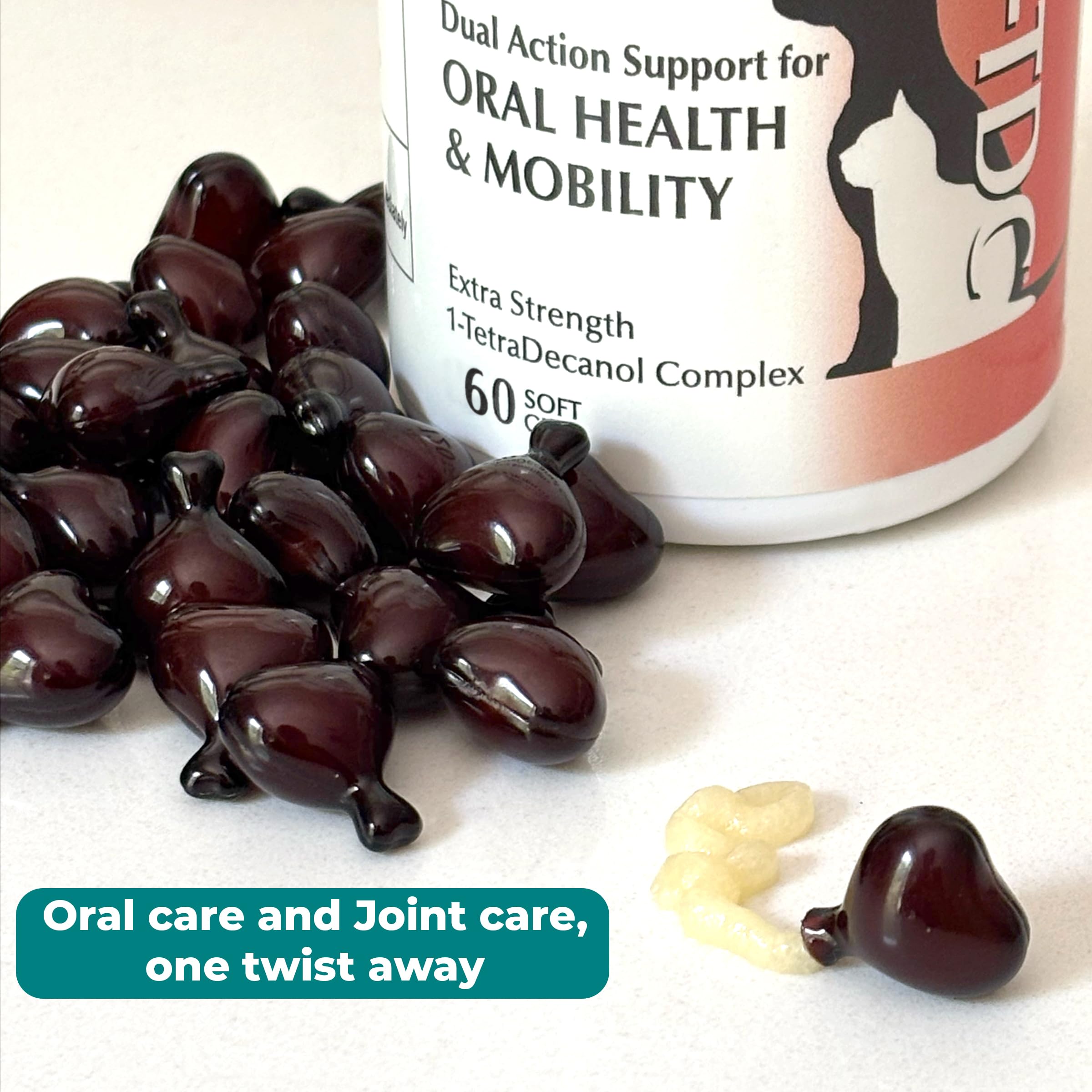 Hip & Joint Supplement for Dogs & Cats – Oral Health & Arthritis 60ct