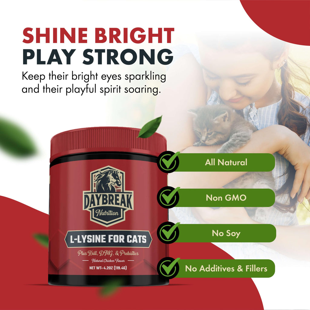 L-Lysine Powder for Cats & Kittens – Immunity & Respiratory 900mg