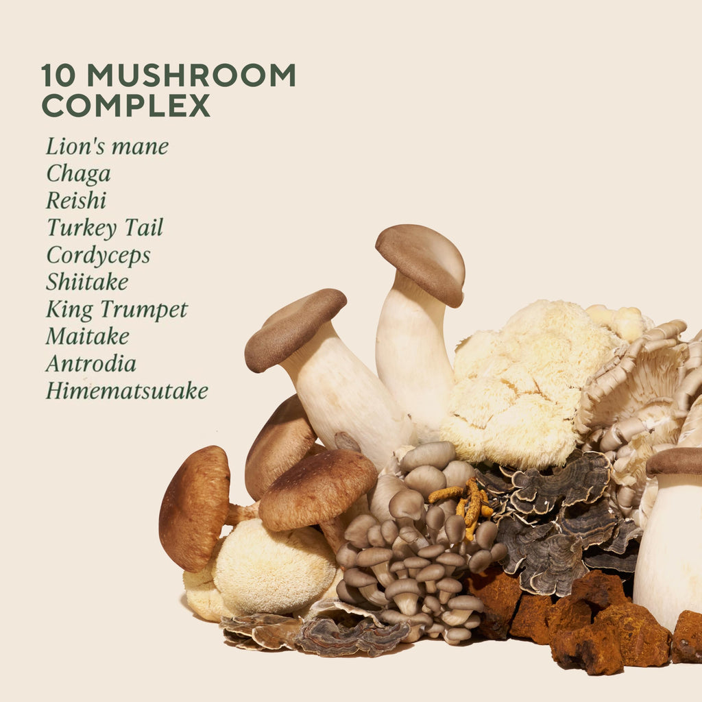 10 Mushroom Blend Capsules with Ashwagandha – Immune & Stress Support, 168 Ct