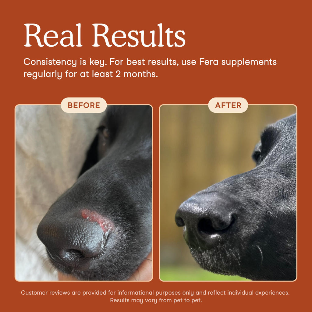 Organic Pre & Probiotic Powder for Dogs & Cats – 12 Strains 60ct