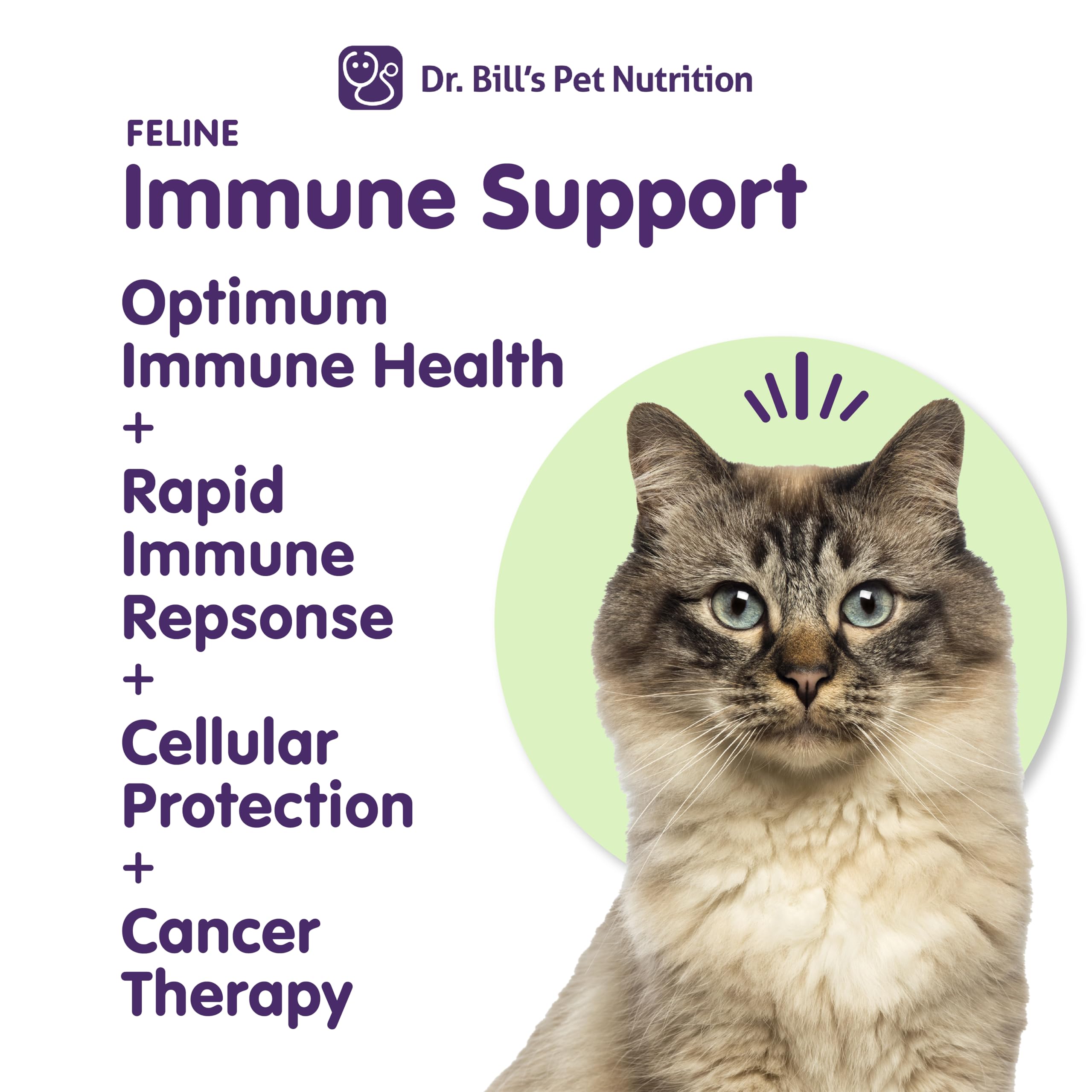 Immune Support Powder for Cats – Colostrum, Mushroom & Zinc