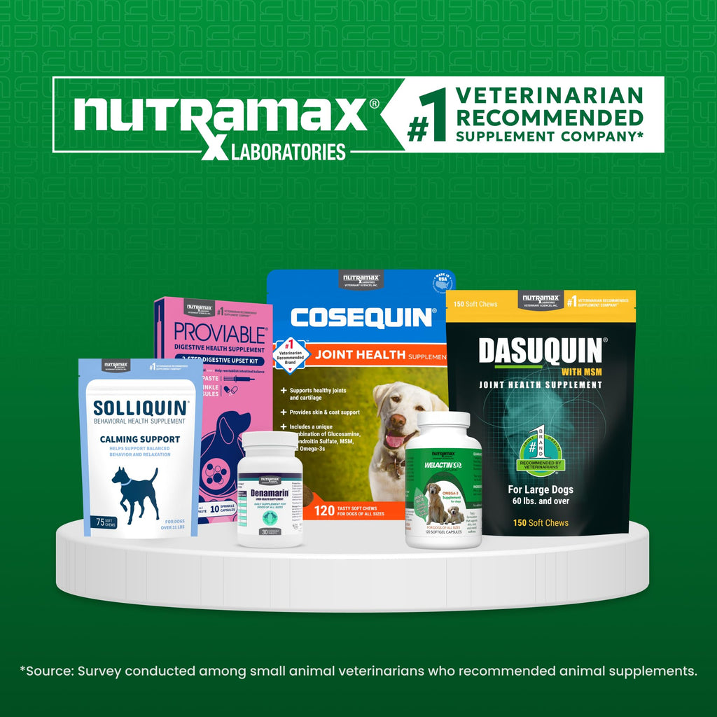 Vitamin B12 Supplement Chews for Cats & Small Dogs – 45ct