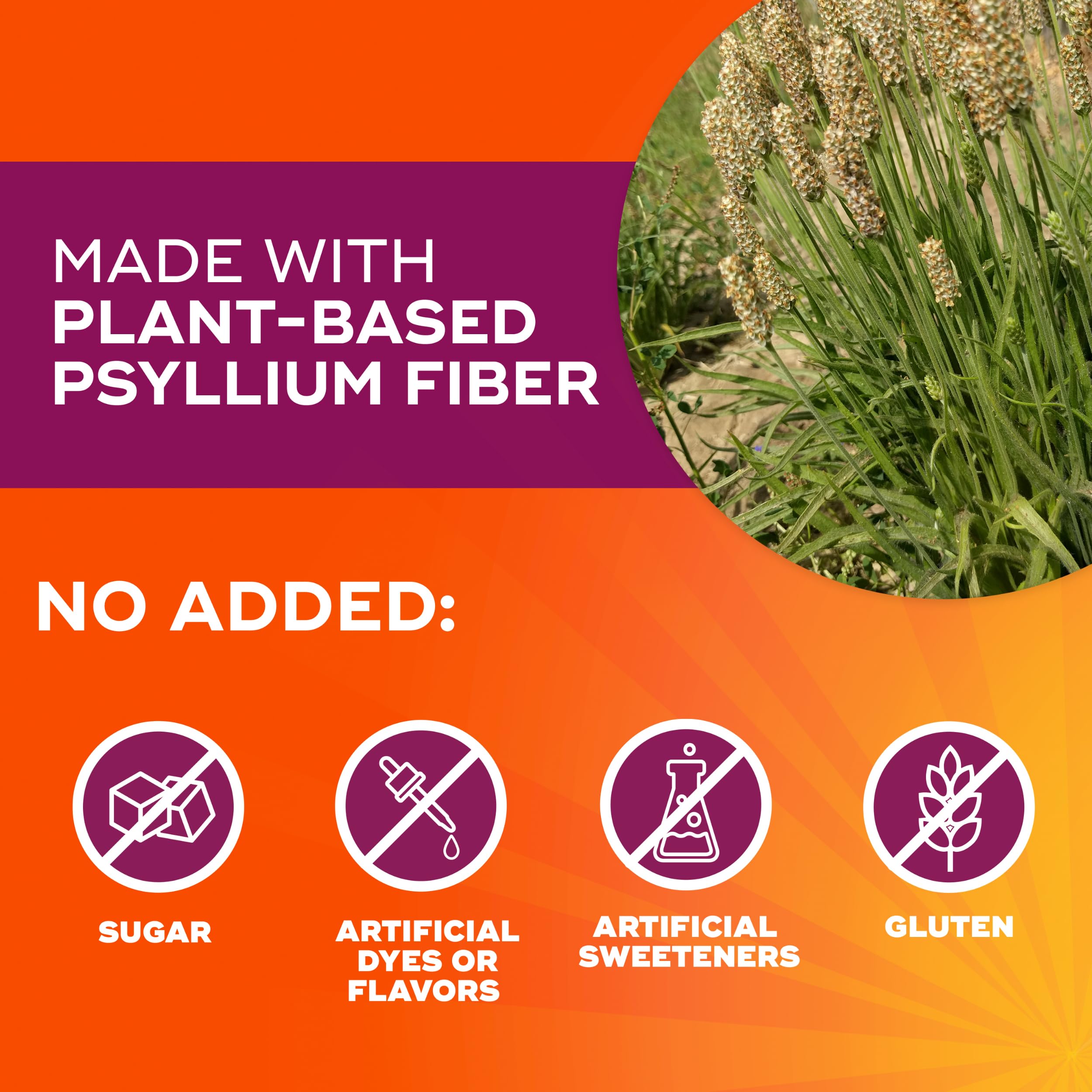 Psyllium Husk Fiber Capsules – Digestive Support, 300 Count
