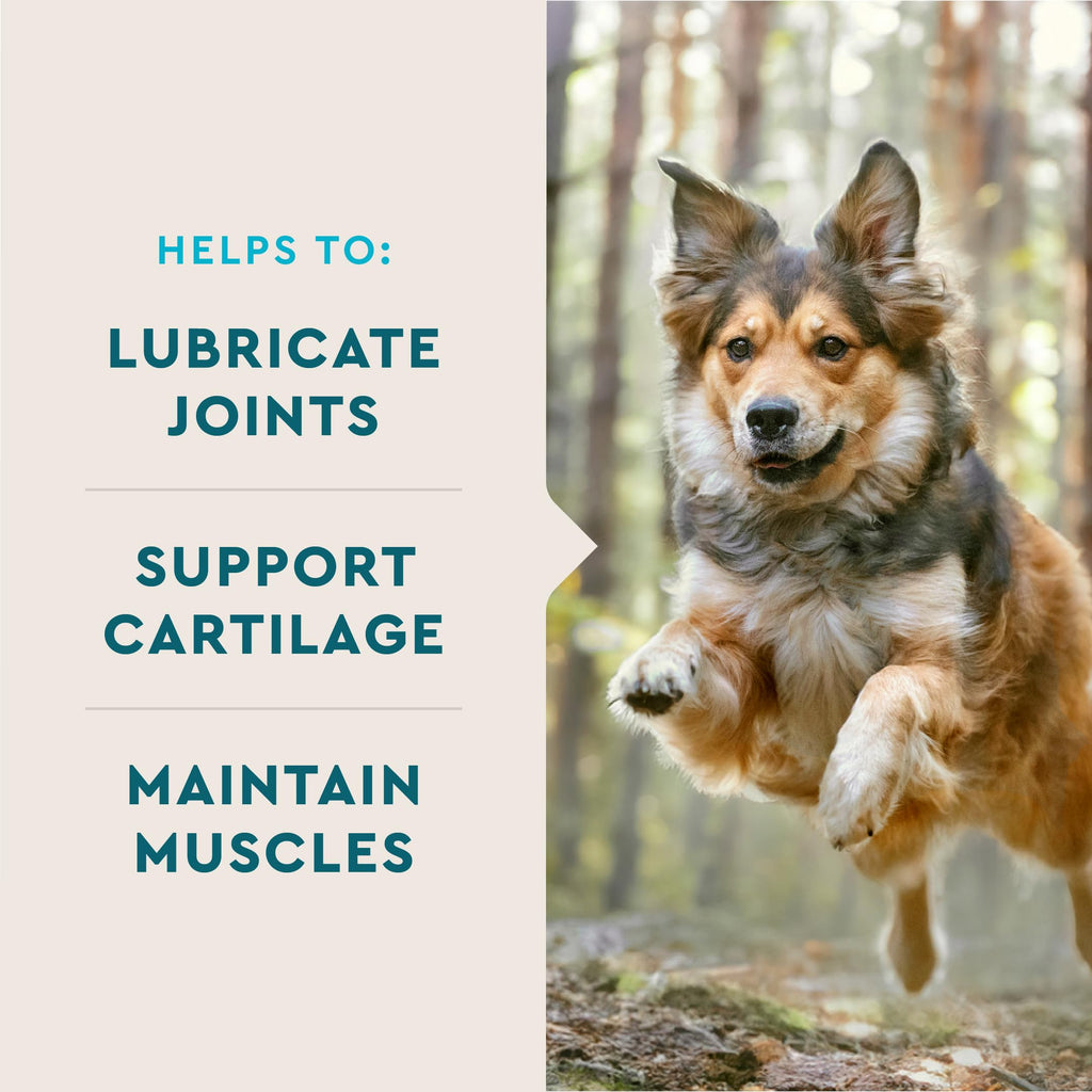 Hip & Joint Soft Chews for Dogs – Glucosamine, MSM & Krill 180ct