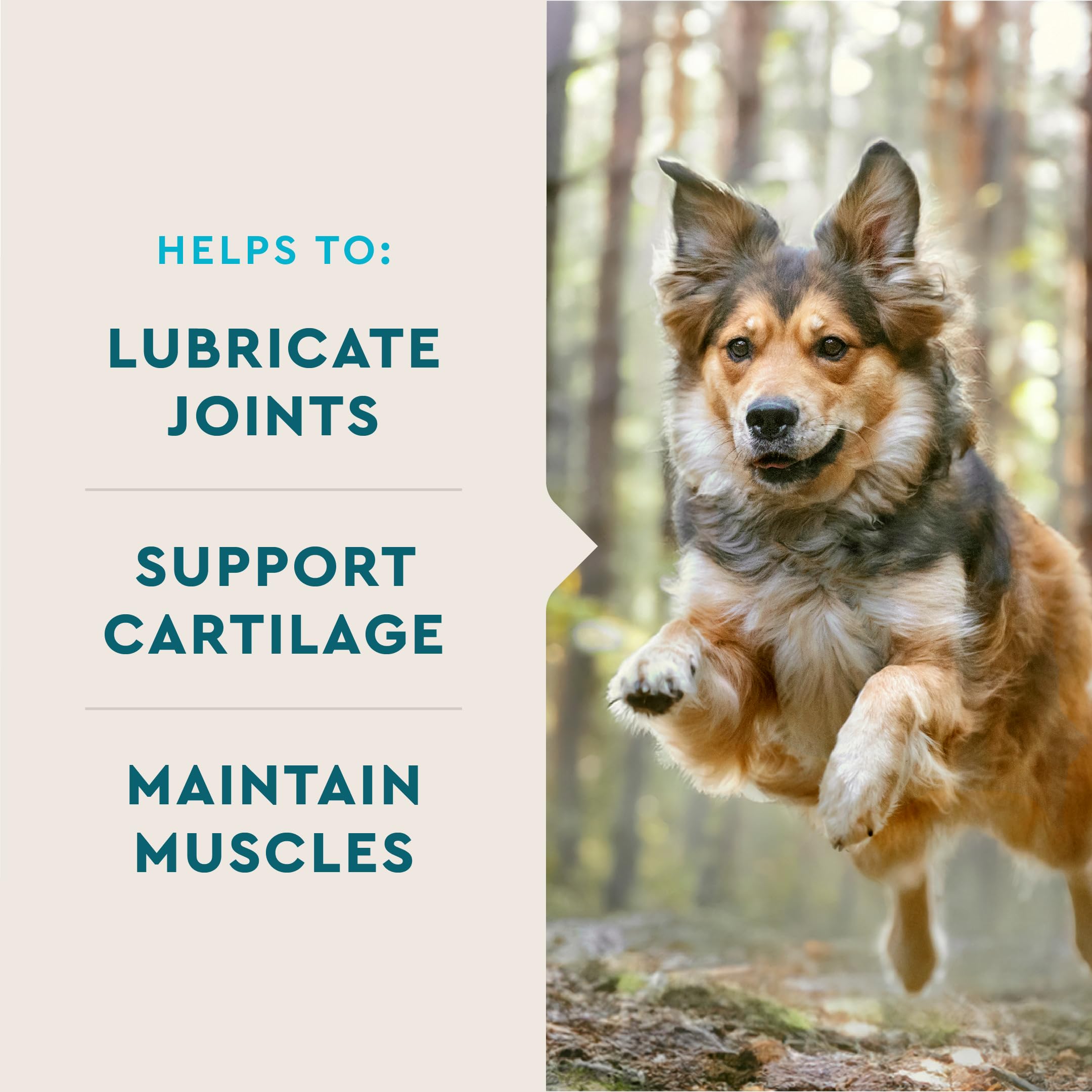 Hip & Joint Soft Chews for Dogs – Glucosamine, MSM & Krill 180ct