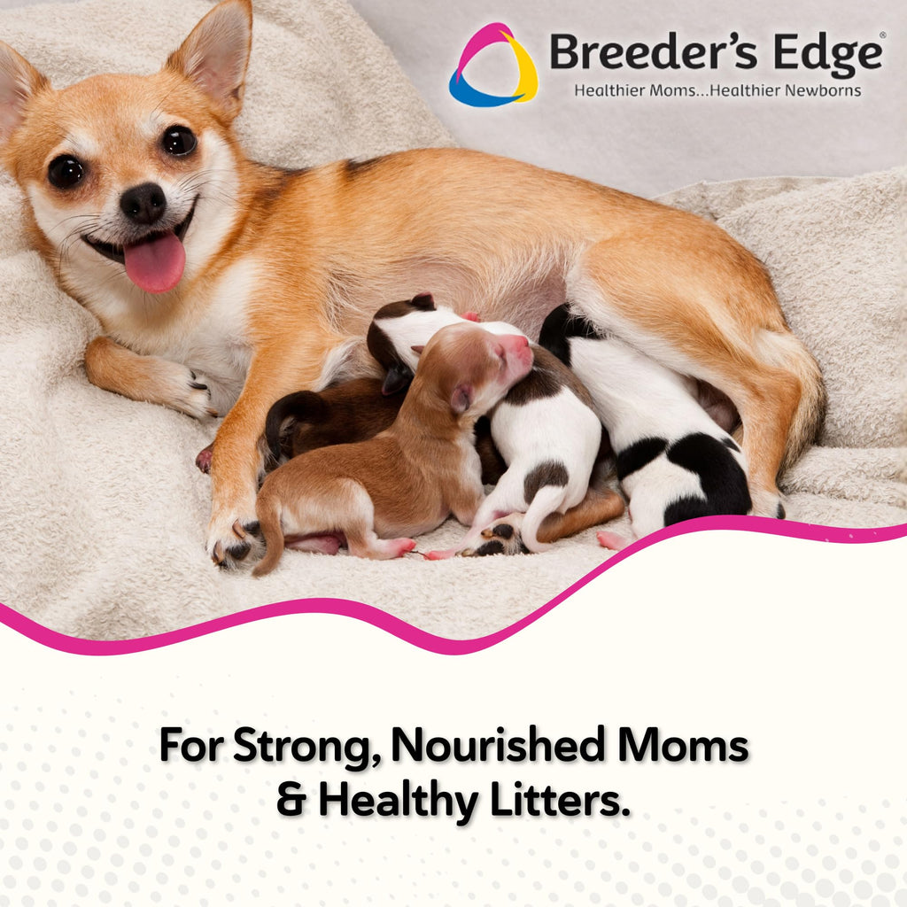 Postnatal Vitamin Soft Chews for Lactating Dogs & Cats – 40ct