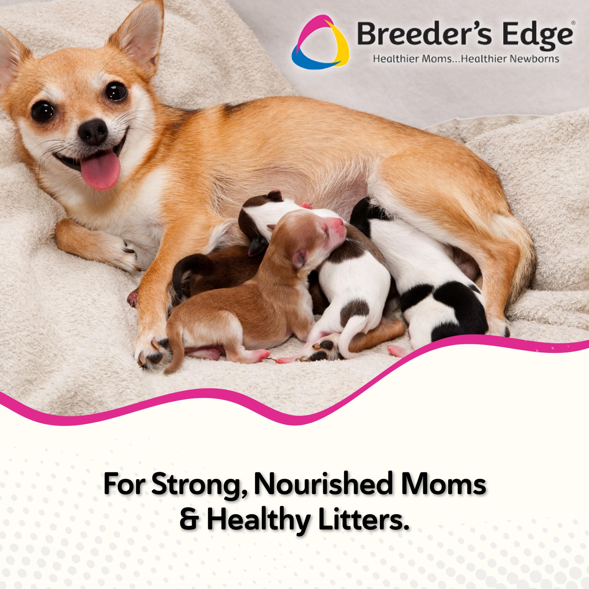 Postnatal Vitamin Soft Chews for Lactating Dogs & Cats – 40ct