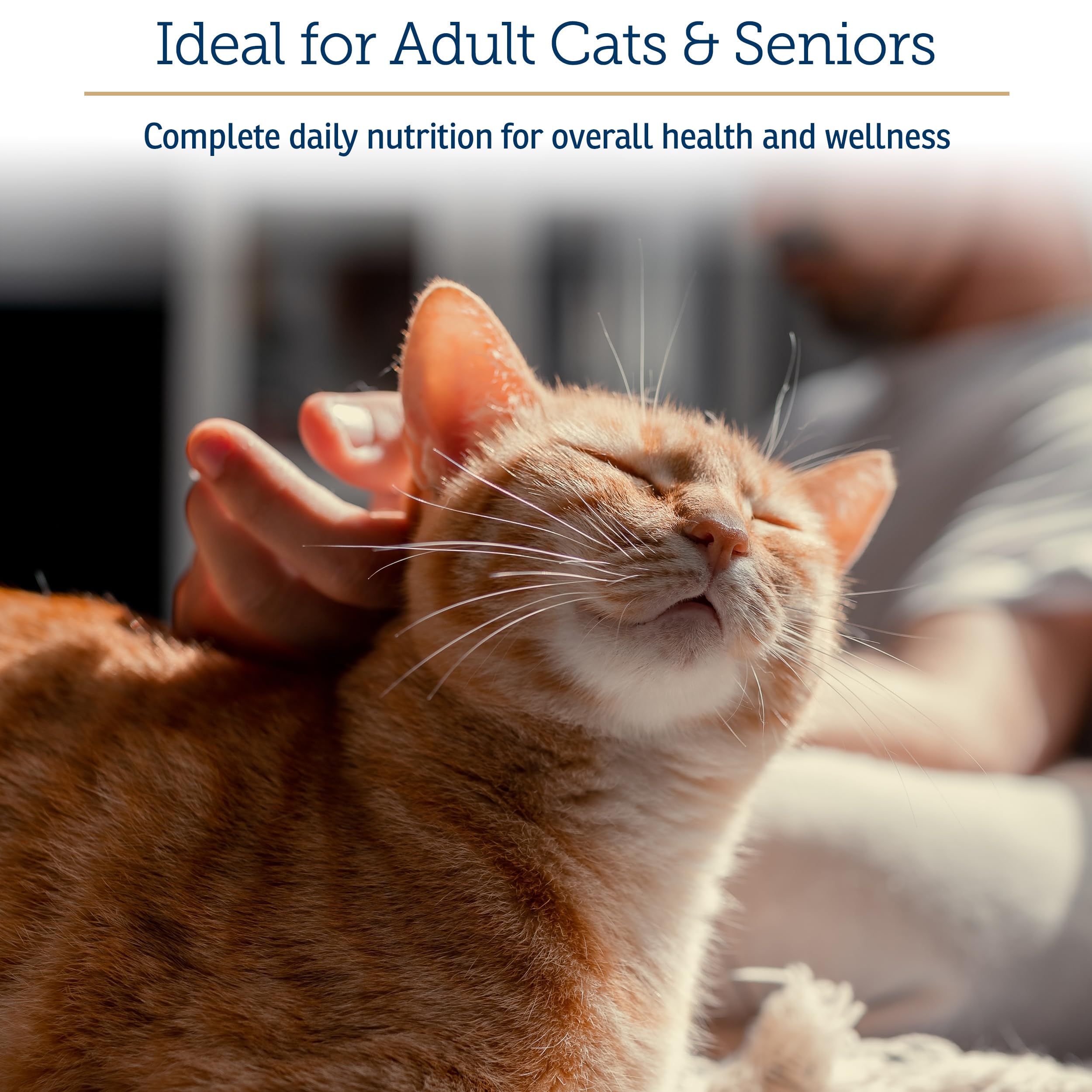 Daily Multivitamin & Mineral Powder for Cats – Immune Support 4oz