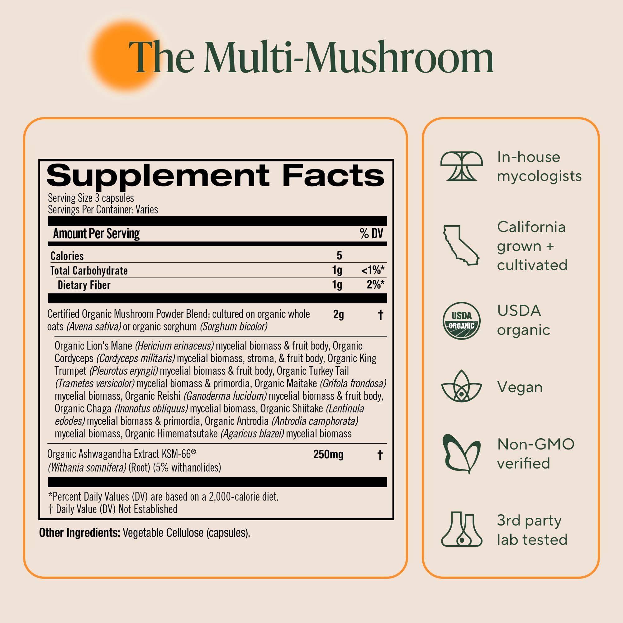 10 Mushroom Blend Capsules with Ashwagandha – Immune & Stress Support, 168 Ct