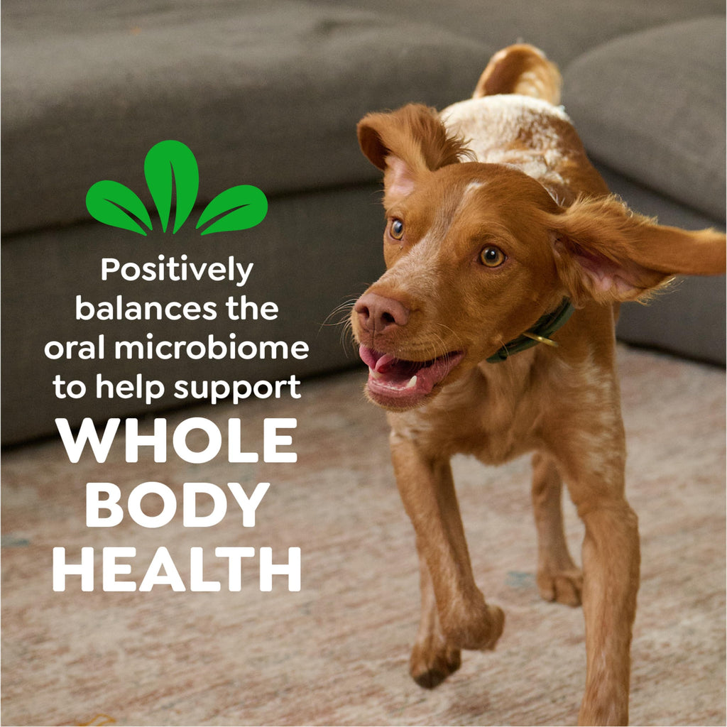 Natural Dental Chews for Small Dogs – Teenie Size 43ct 12oz