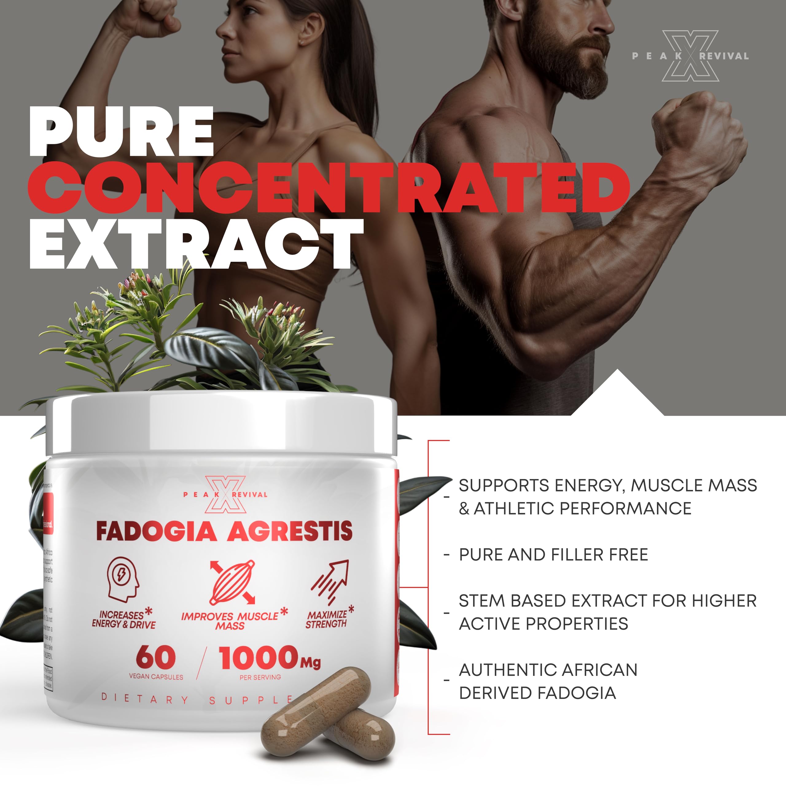 Fadogia Agrestis 1000 mg Capsules – Energy & Performance, 60 Ct
