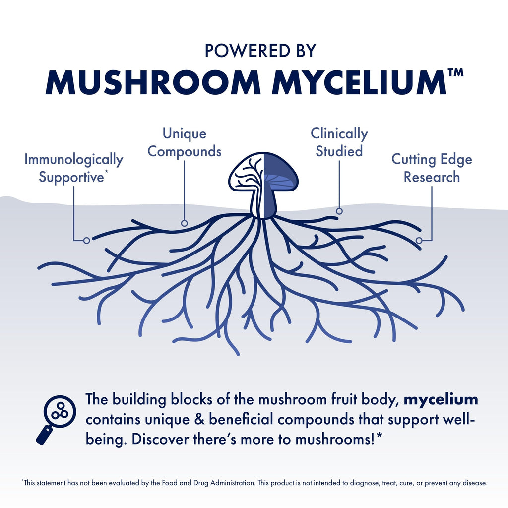 17 Mushroom Blend Capsules – Immune Support Supplement, 120 Ct