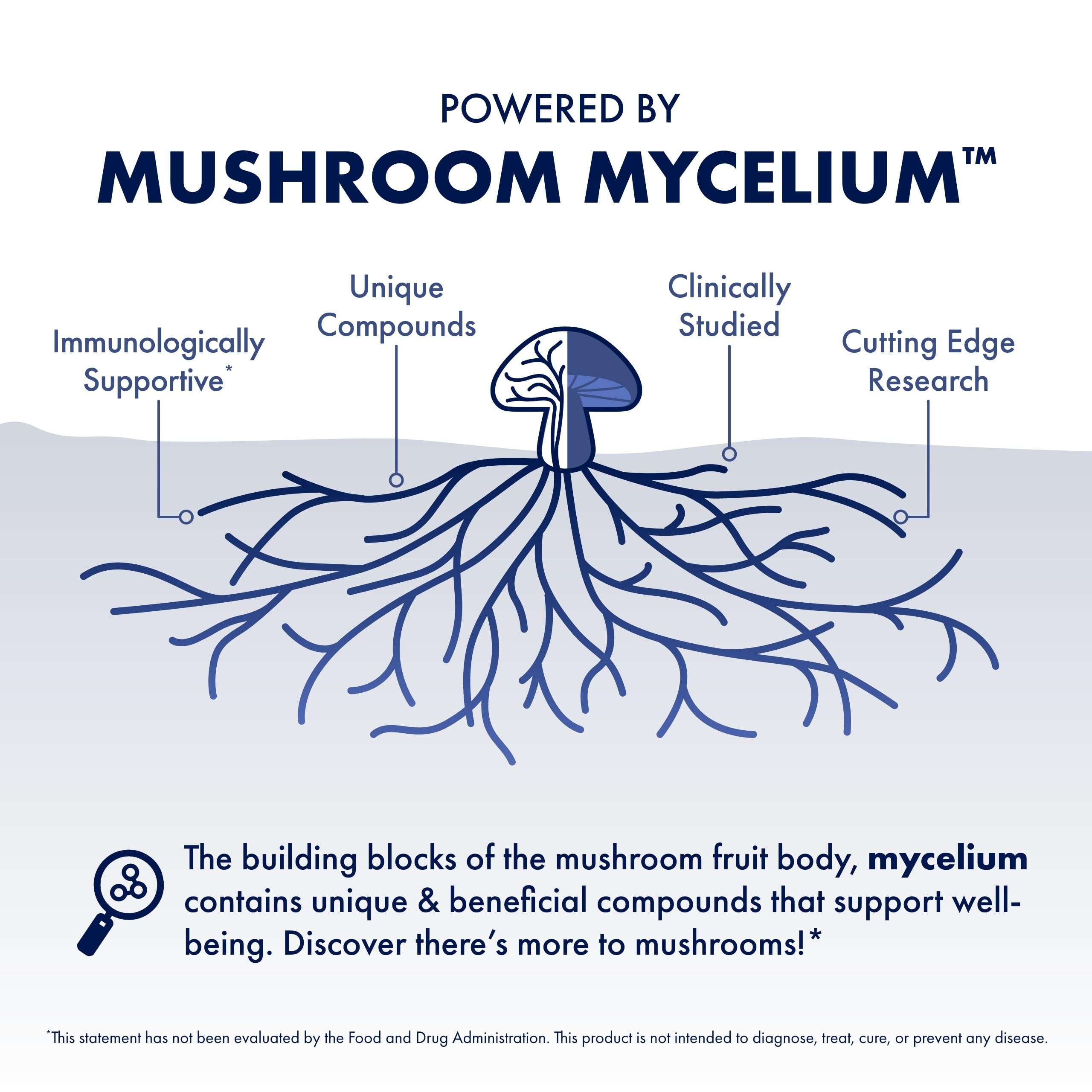 17 Mushroom Blend Capsules – Immune Support Supplement, 120 Ct