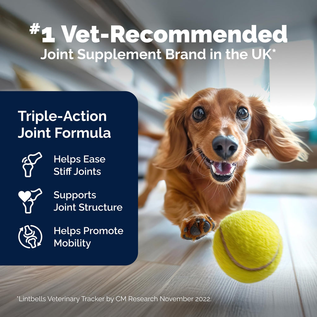 Glucosamine Hip & Joint Chews for Dogs – 300ct